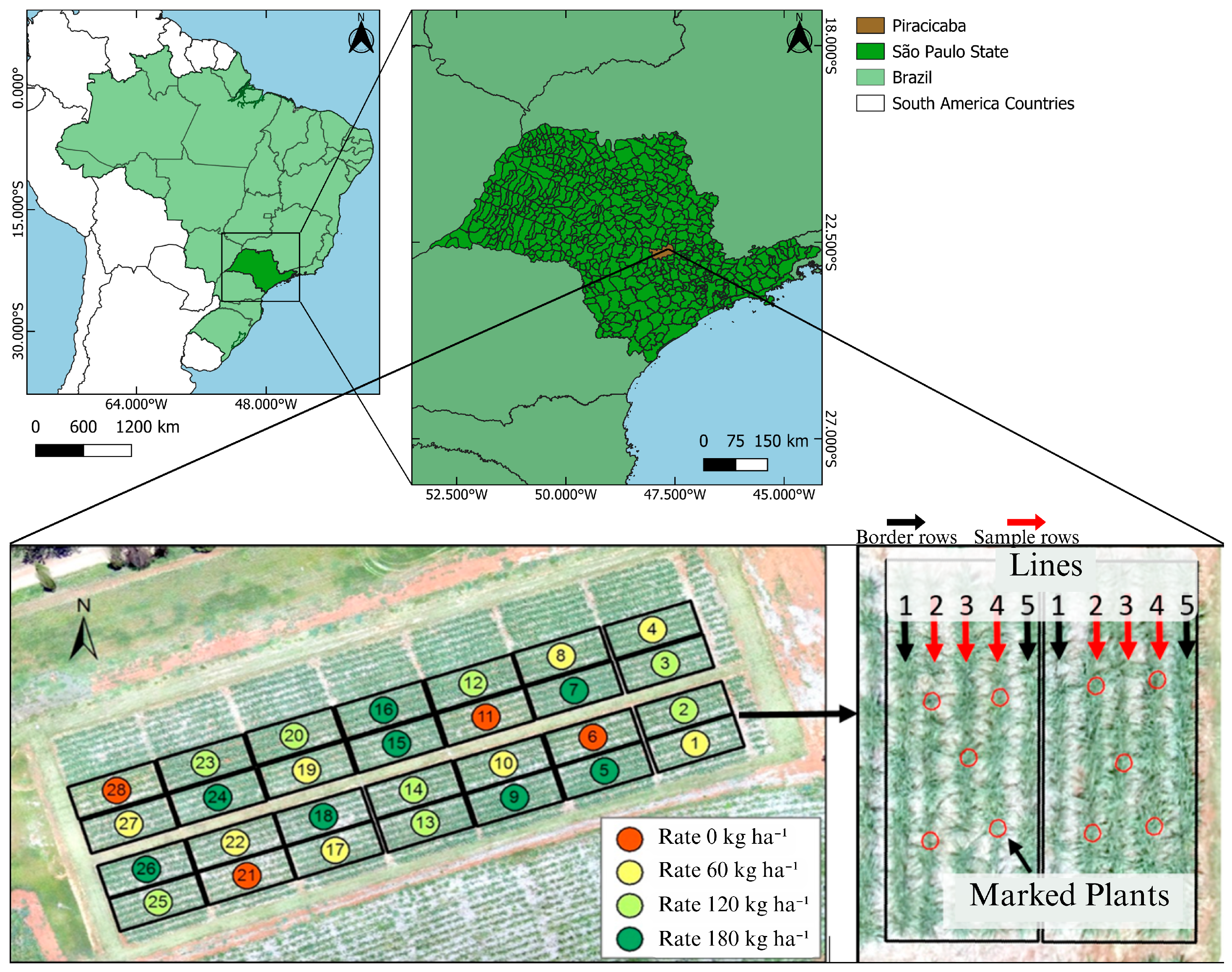 Agriengineering 07 00403 g001