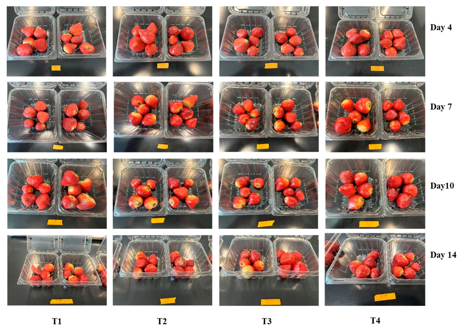 Agriengineering 07 00410 g001