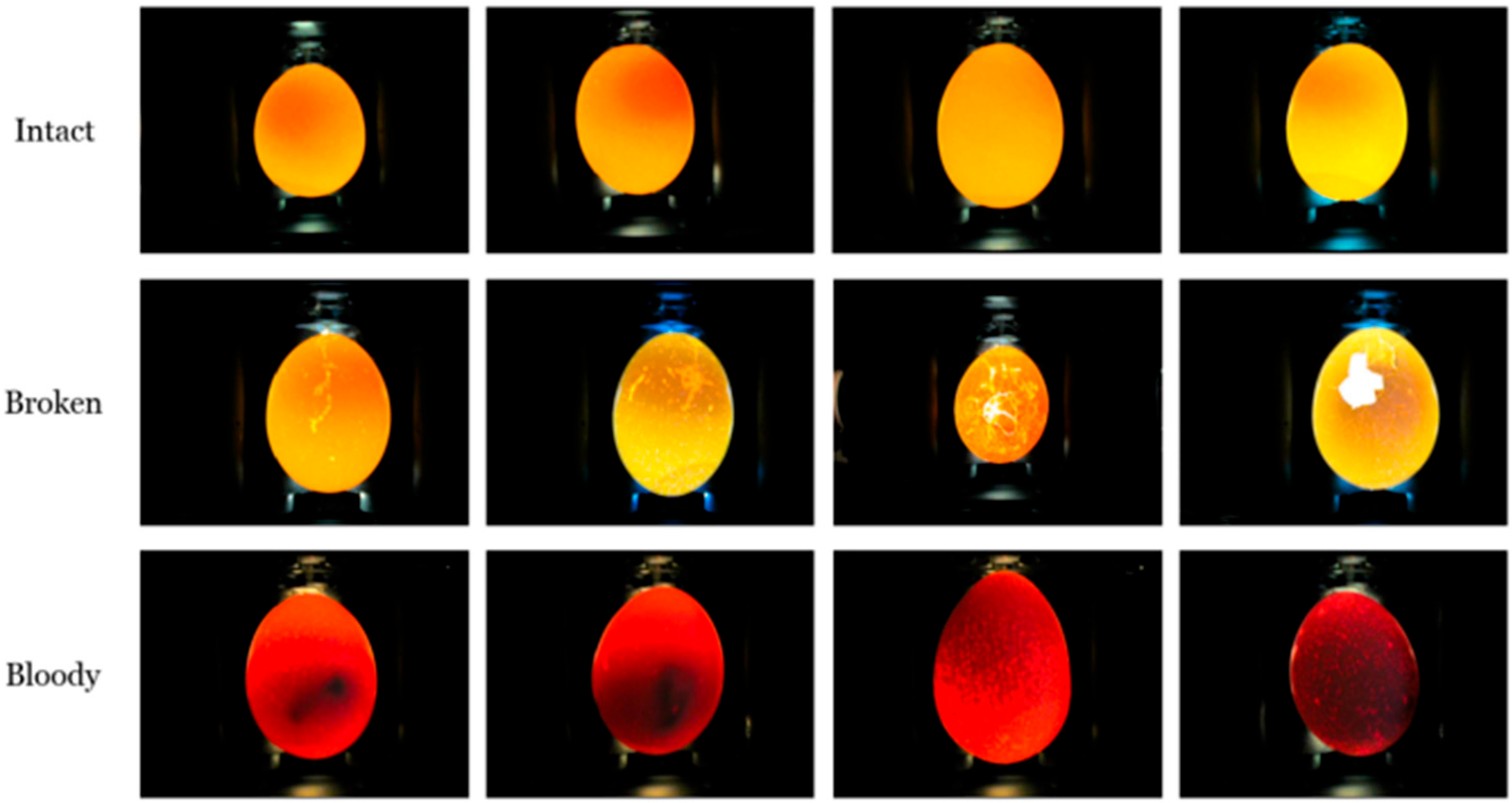 Agriengineering 07 00411 g001