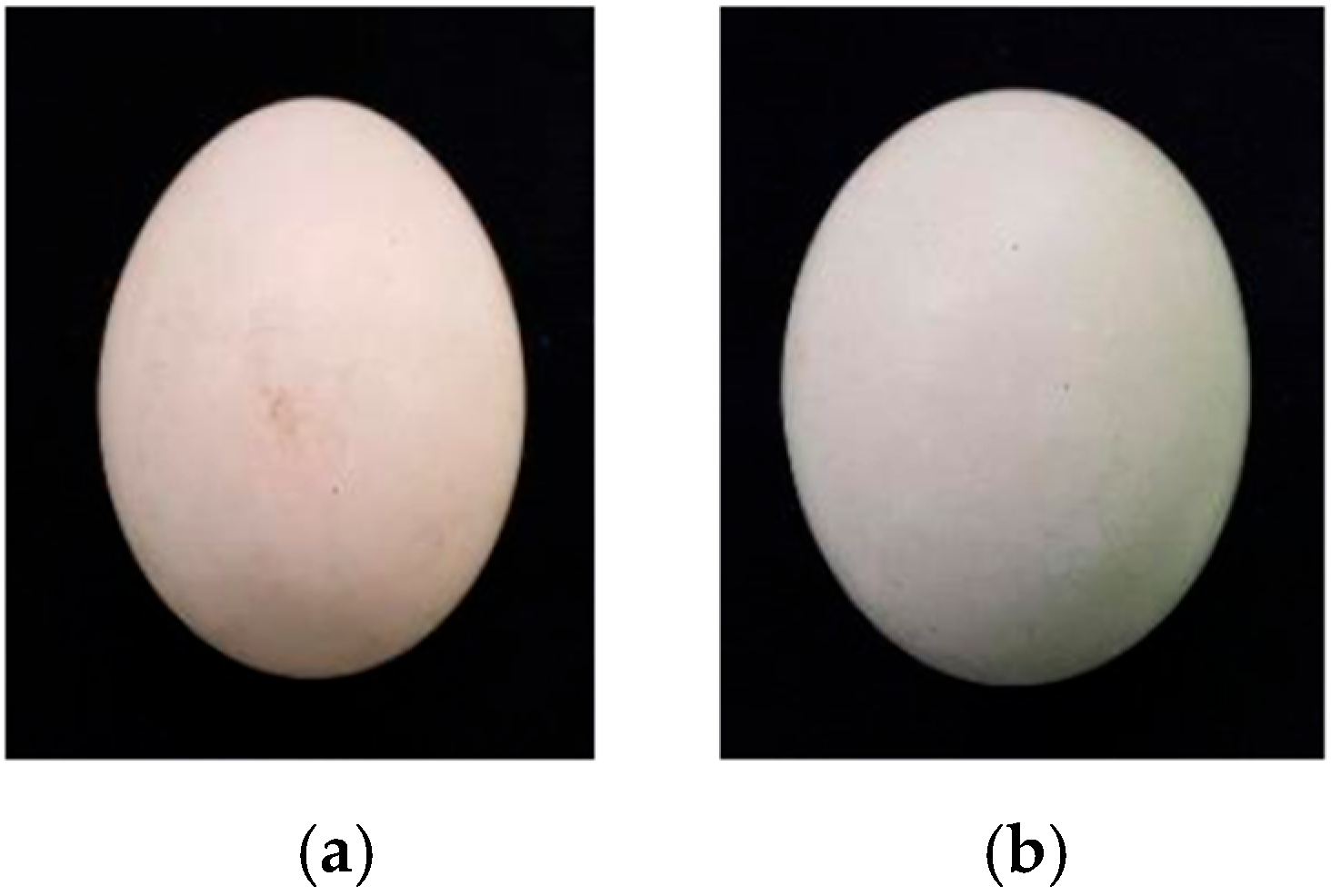 Agriengineering 07 00411 g002