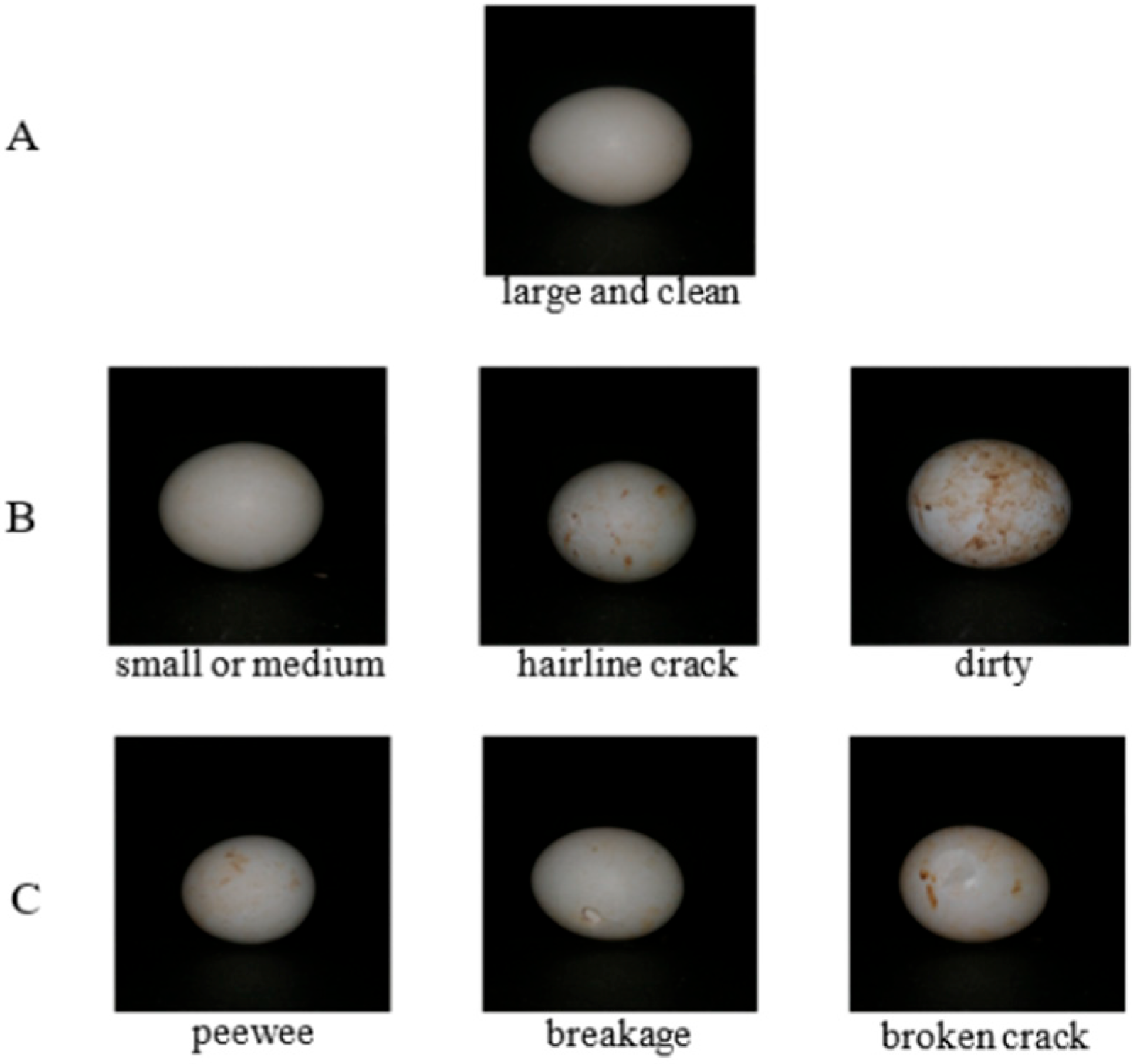 Agriengineering 07 00411 g003
