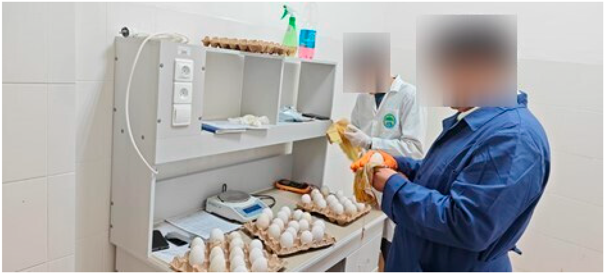 Agriengineering 07 00411 g007