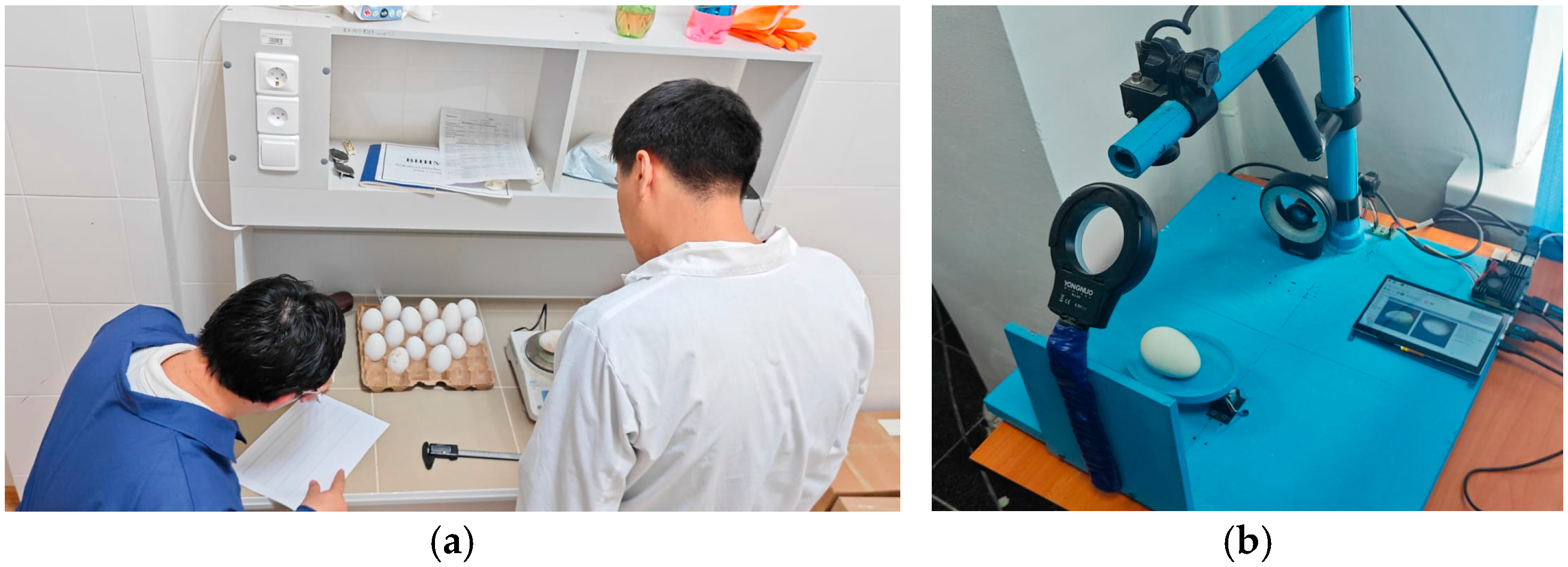 Agriengineering 07 00411 g008