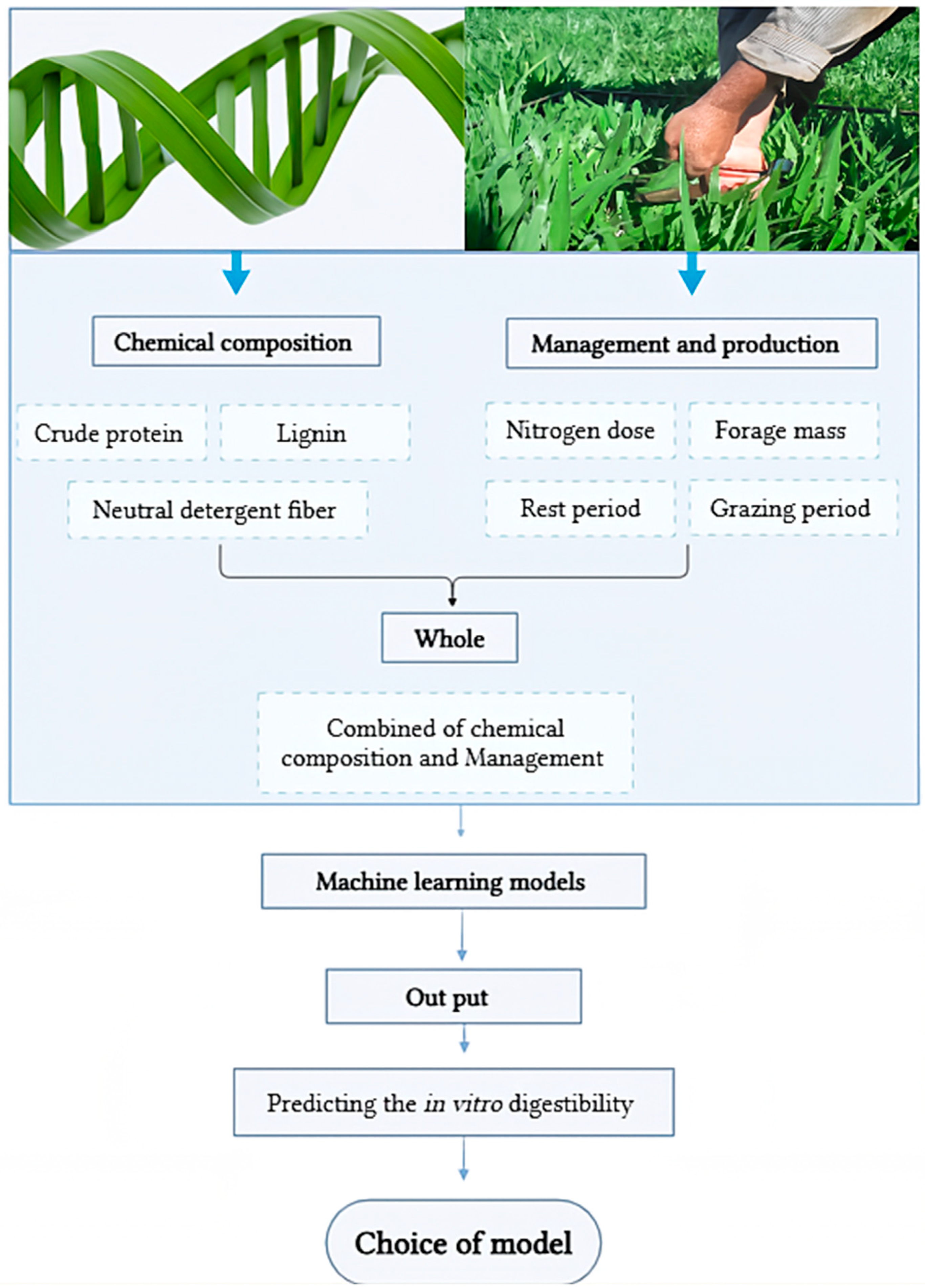 Agriengineering 07 00412 g001