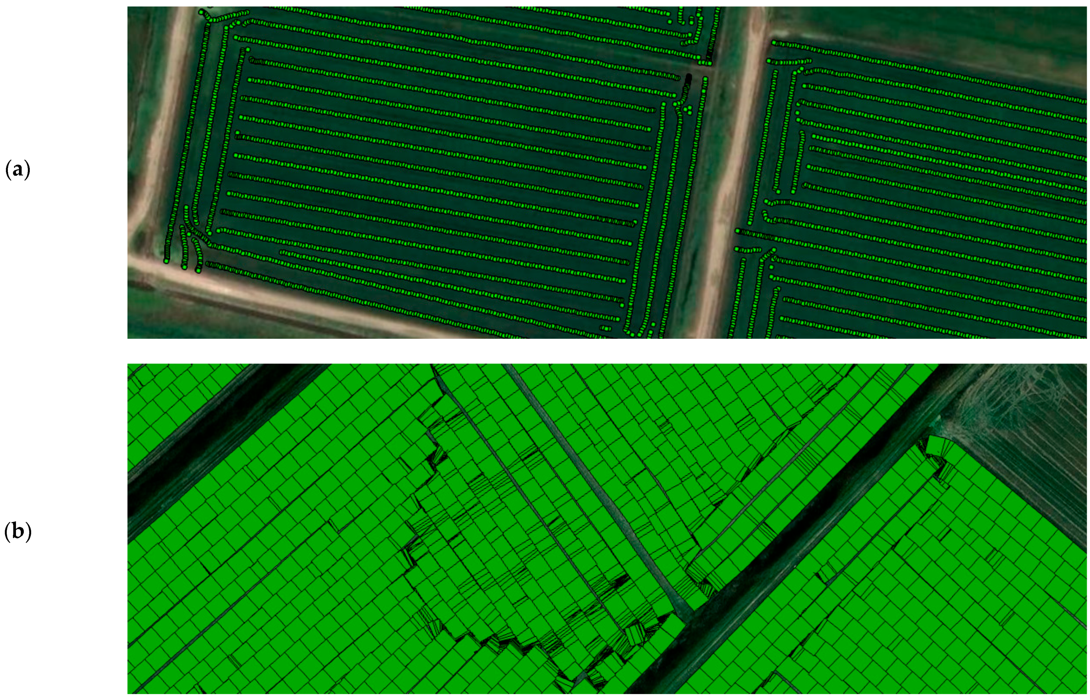 Agriengineering 07 00413 g002