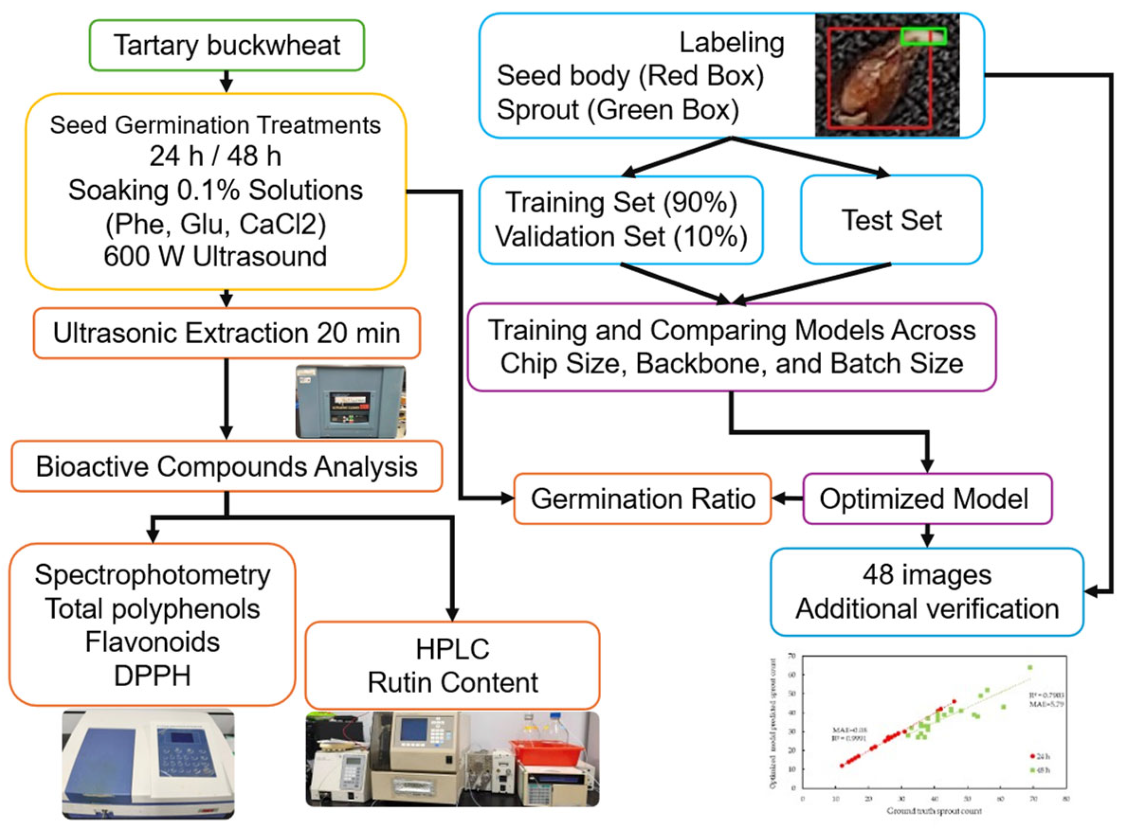 Agriengineering 07 00414 g001