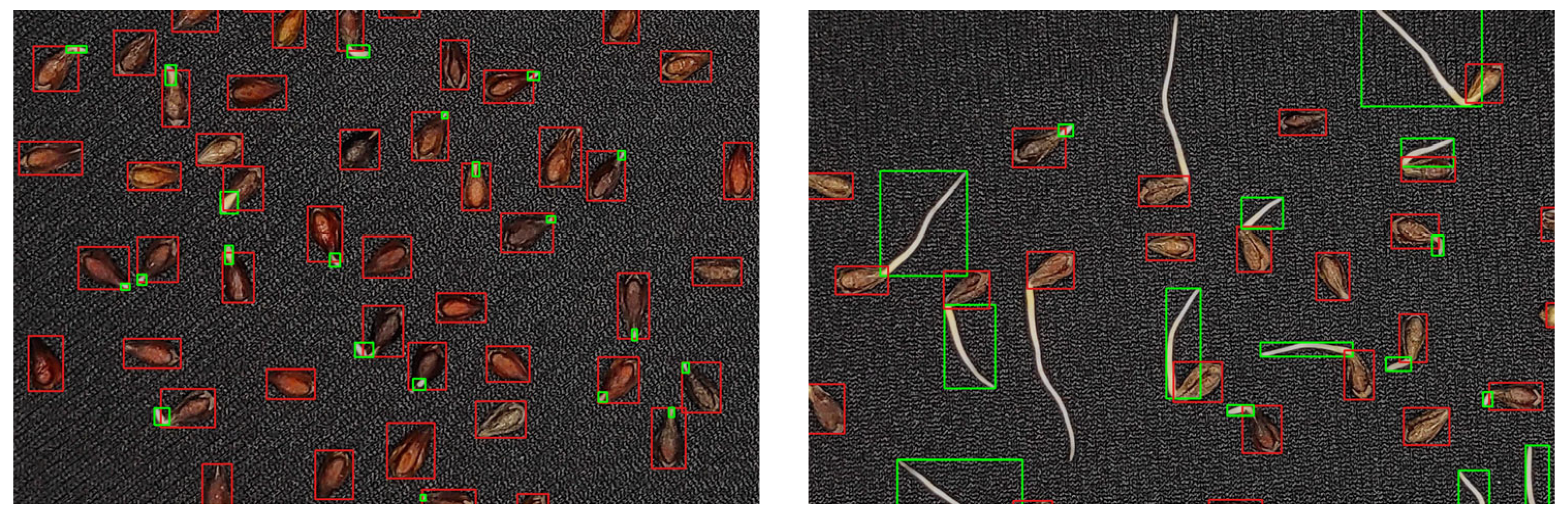 Agriengineering 07 00414 g004