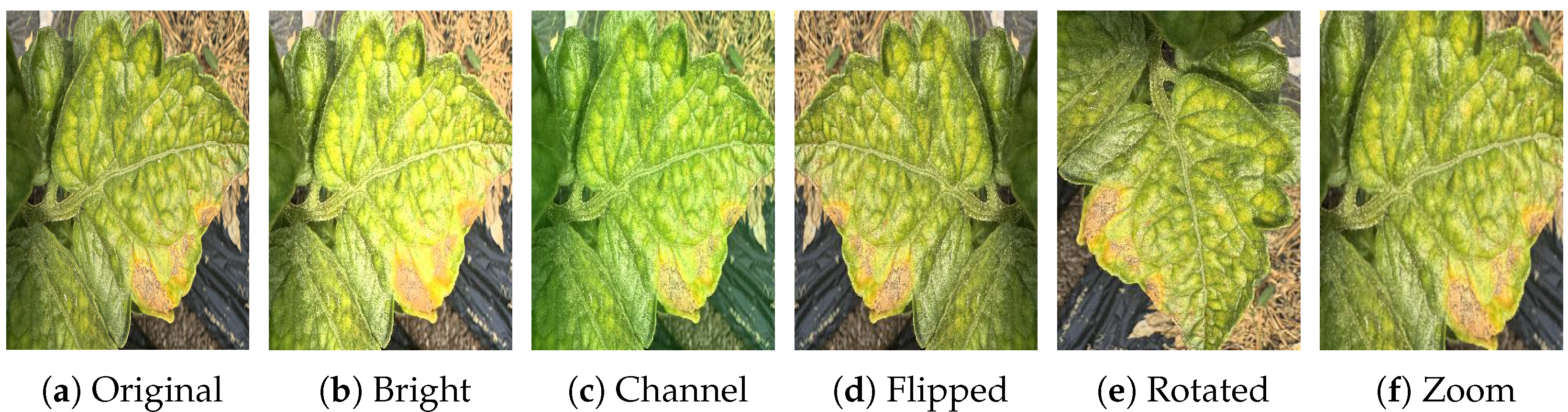 Agriengineering 07 00432 g002