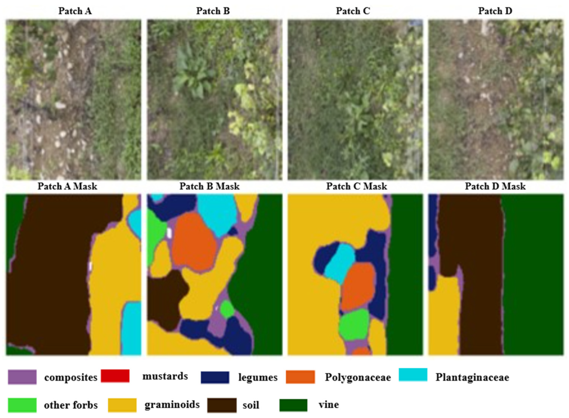 Agriengineering 07 00434 g003 Agriengineering 07 00434 g003