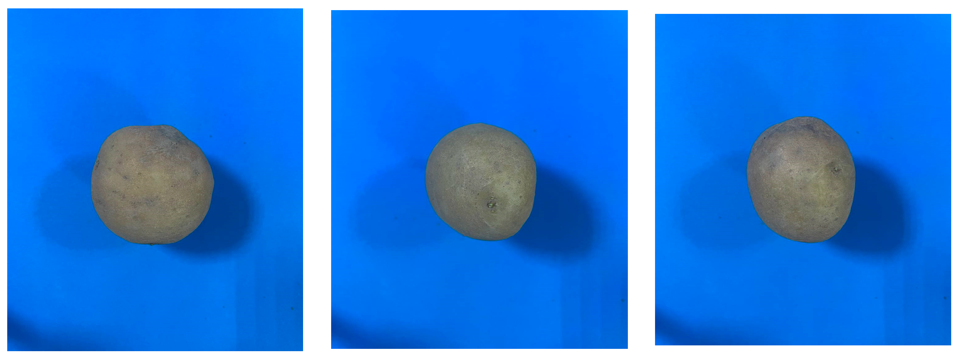 Agriengineering 08 00017 g003