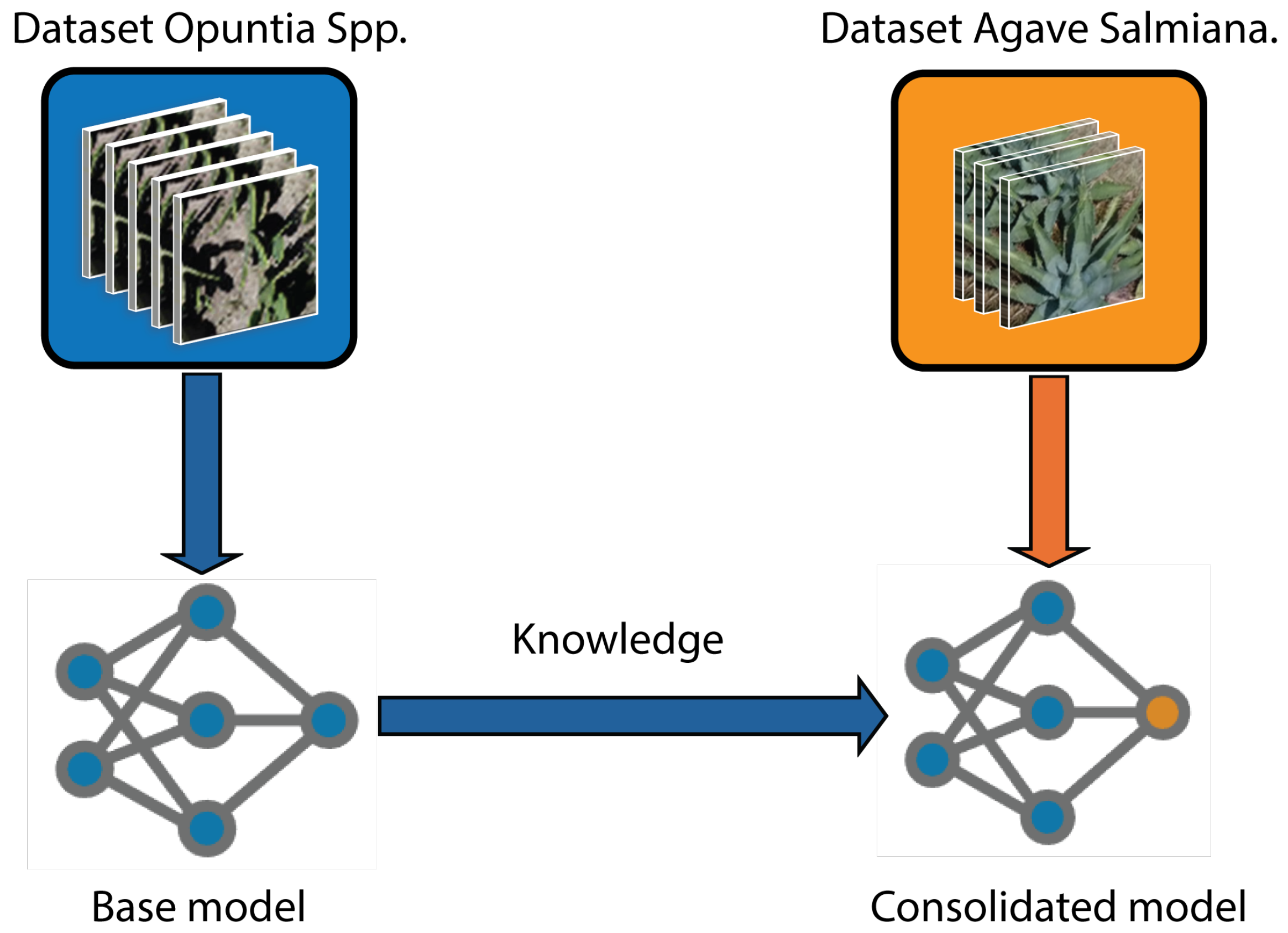 Agriengineering 08 00018 g011