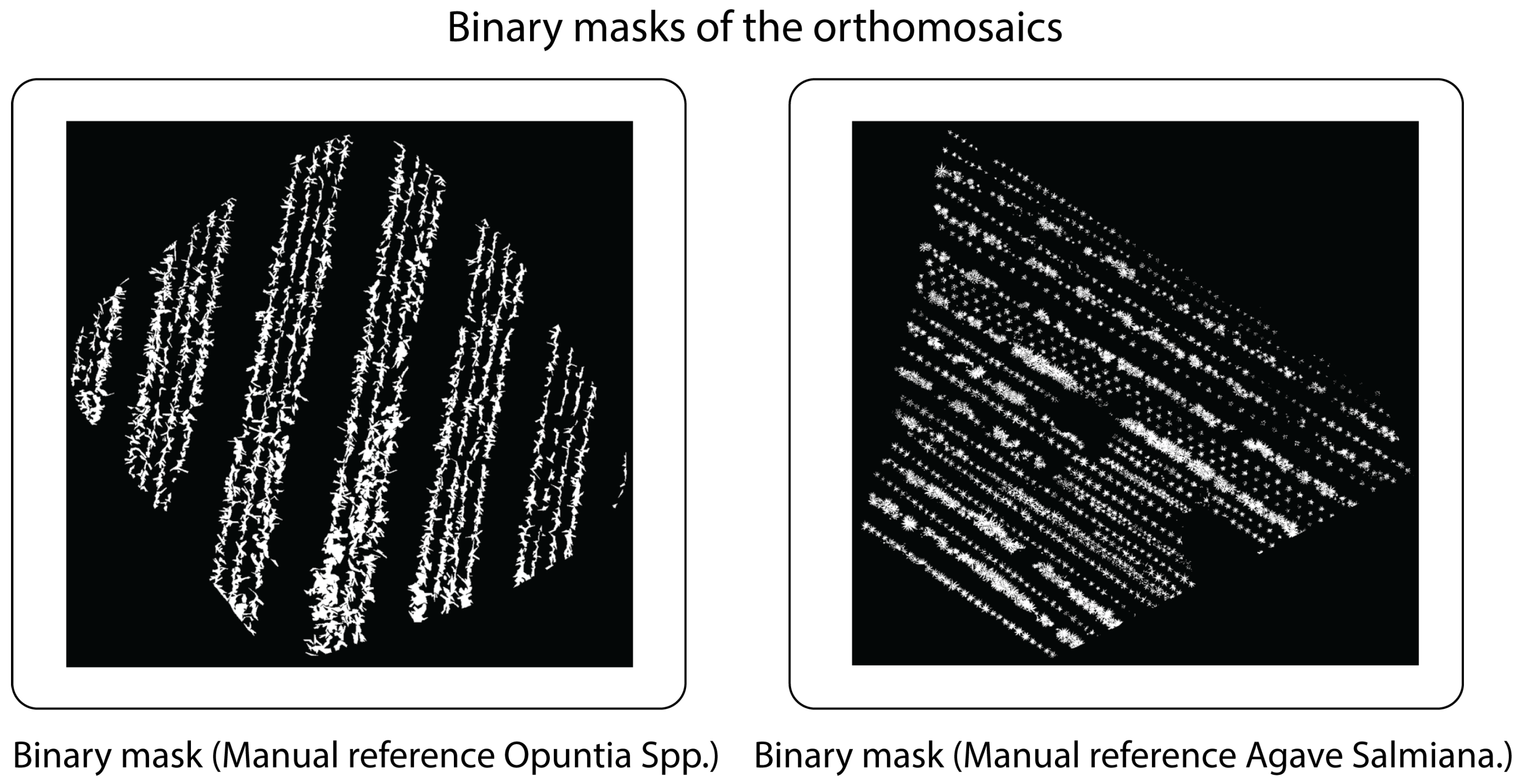 Agriengineering 08 00018 g013