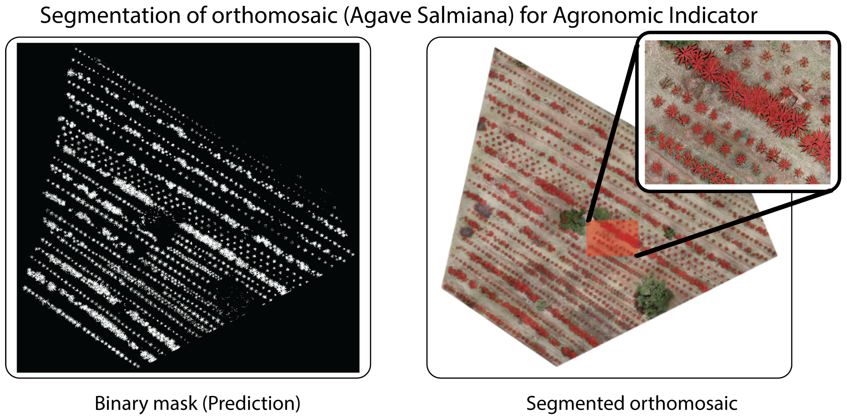 Agriengineering 08 00018 g015
