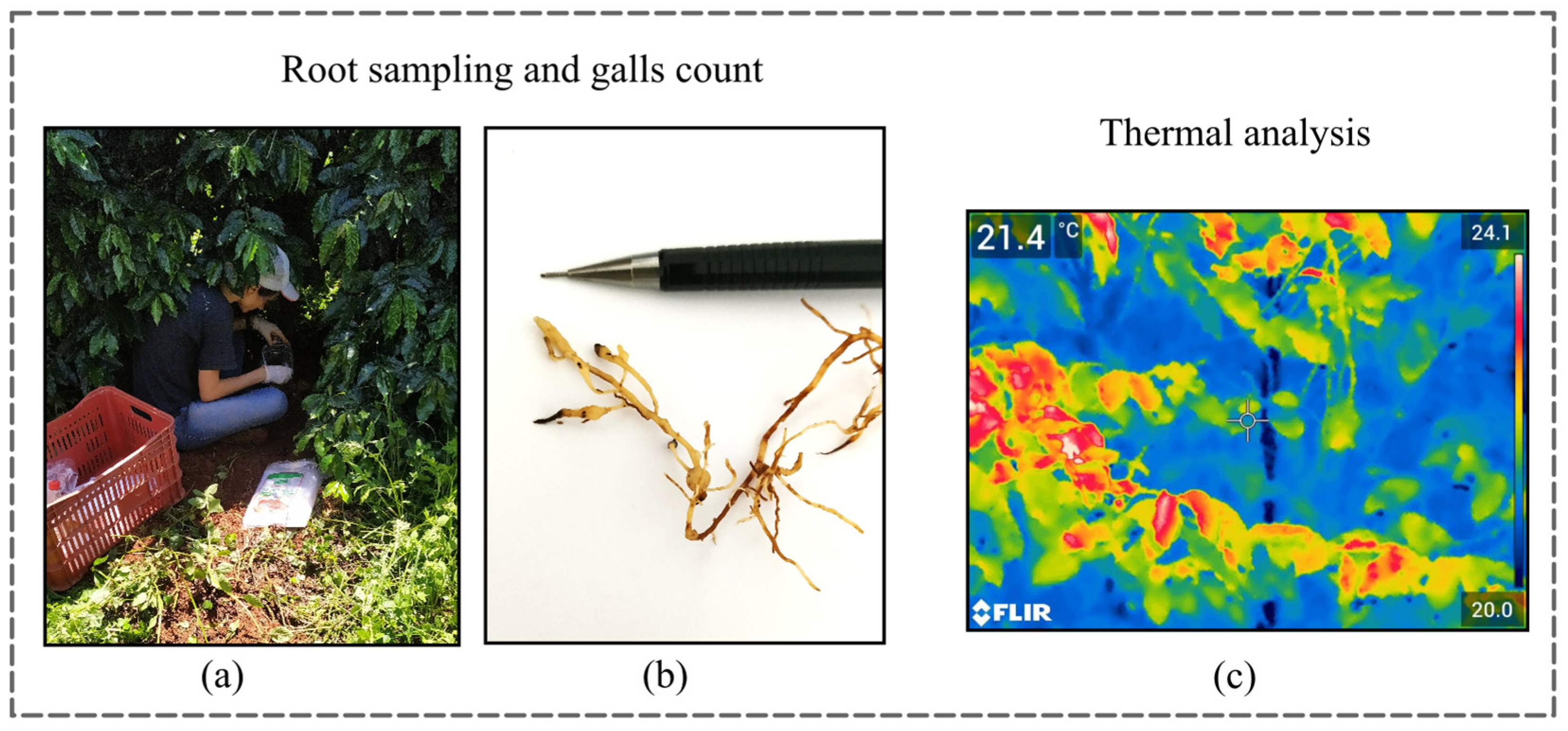 Agriengineering 08 00022 g004