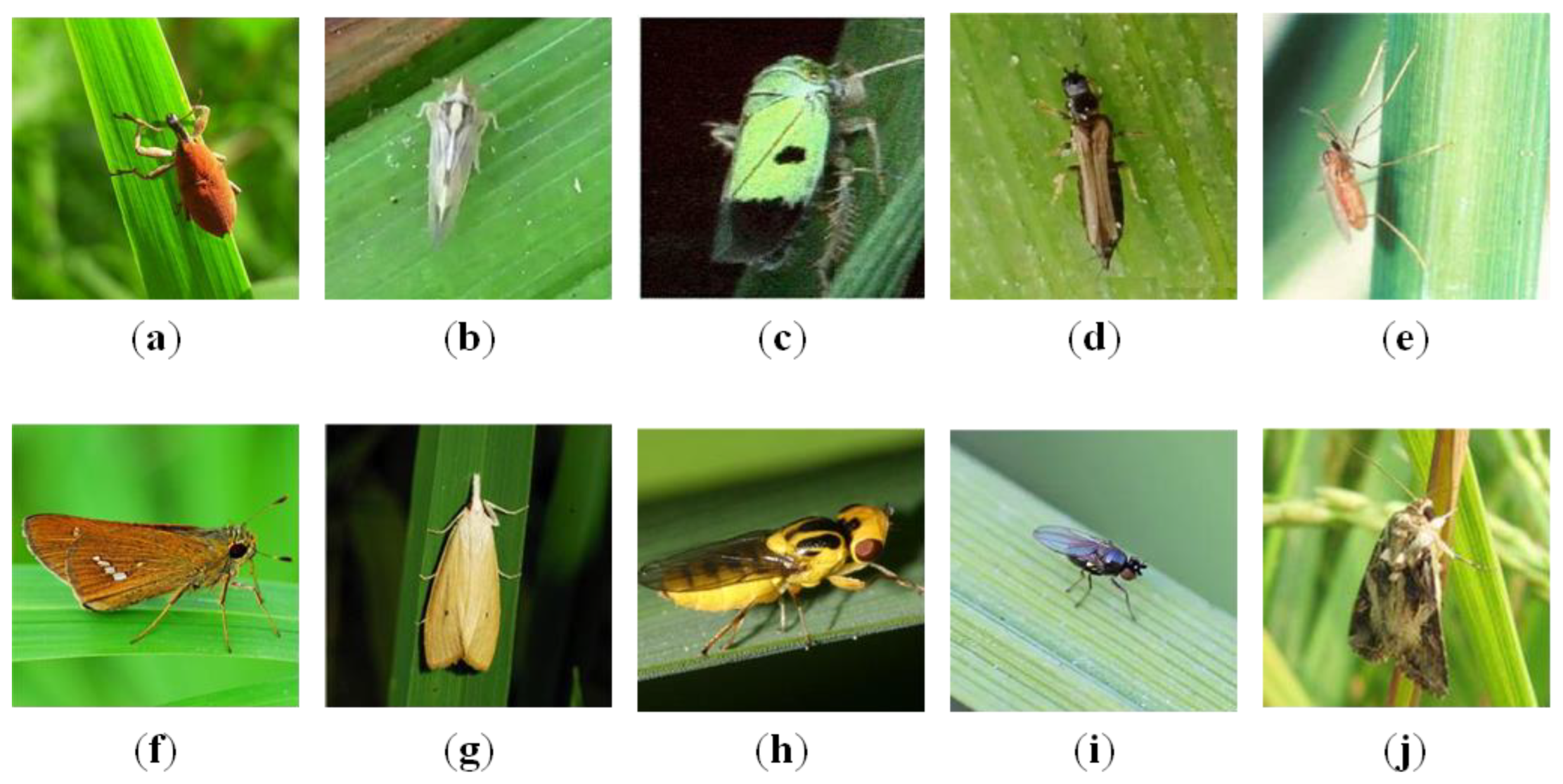 Agriengineering 08 00026 g007