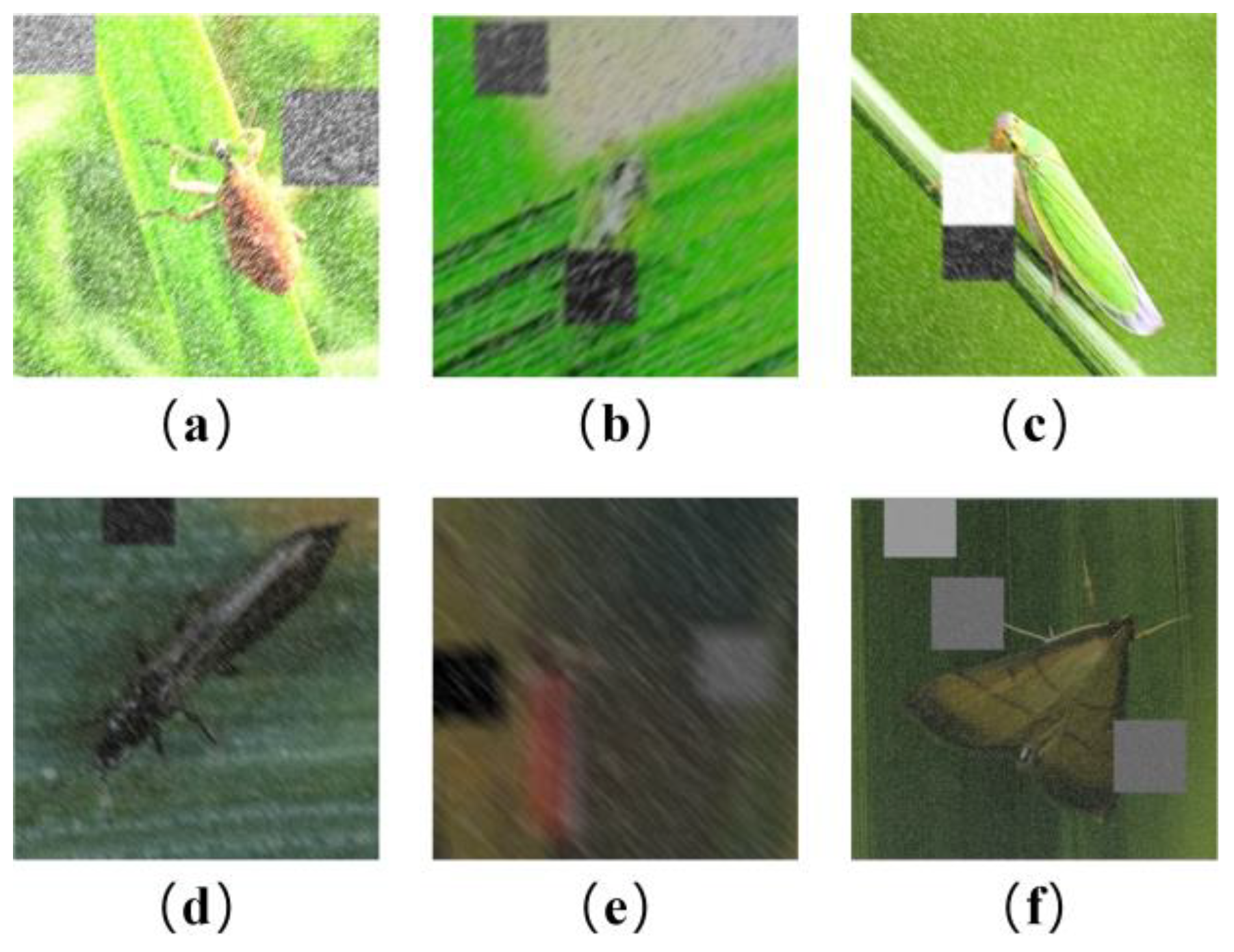 Agriengineering 08 00026 g008