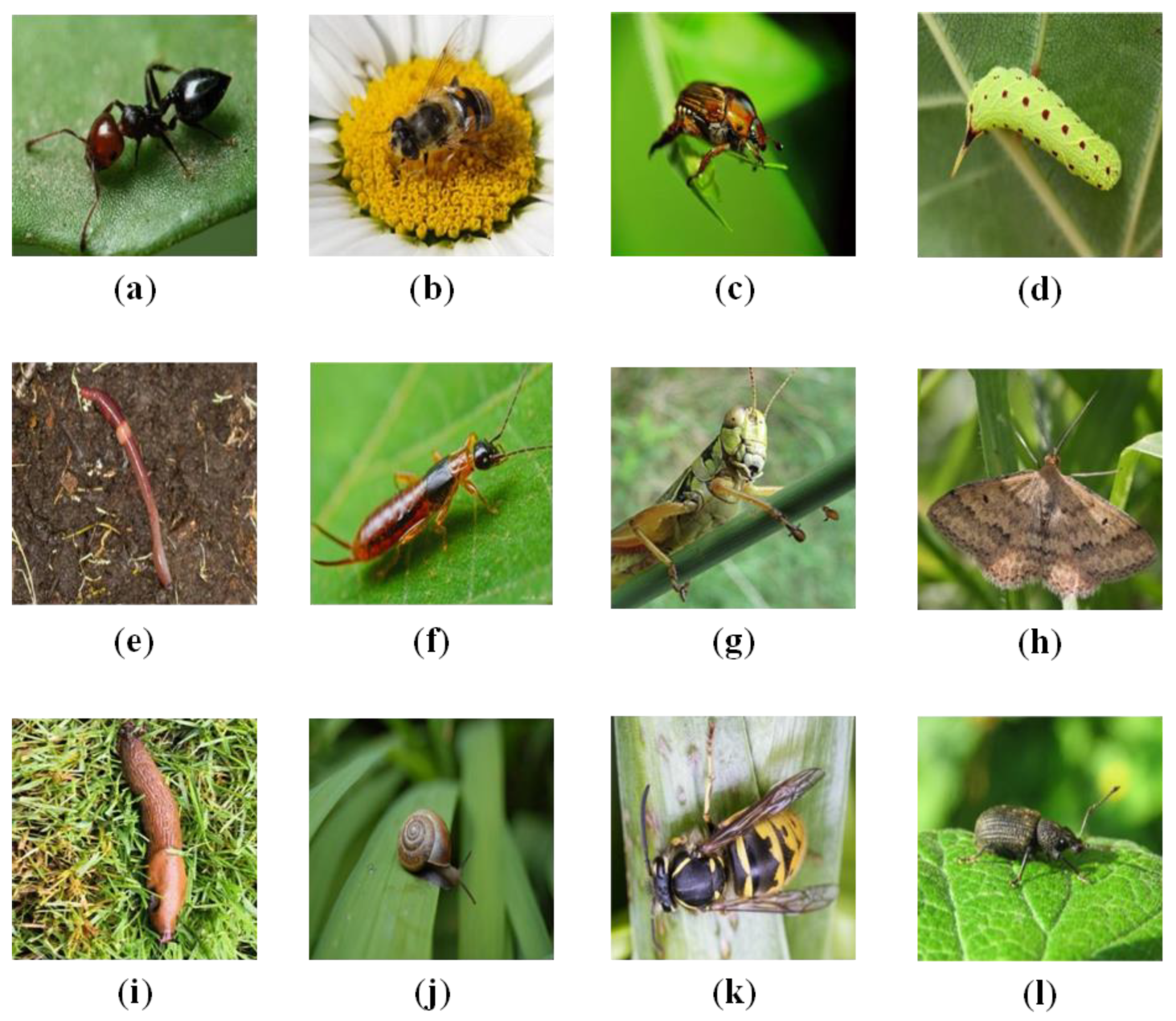 Agriengineering 08 00026 g014