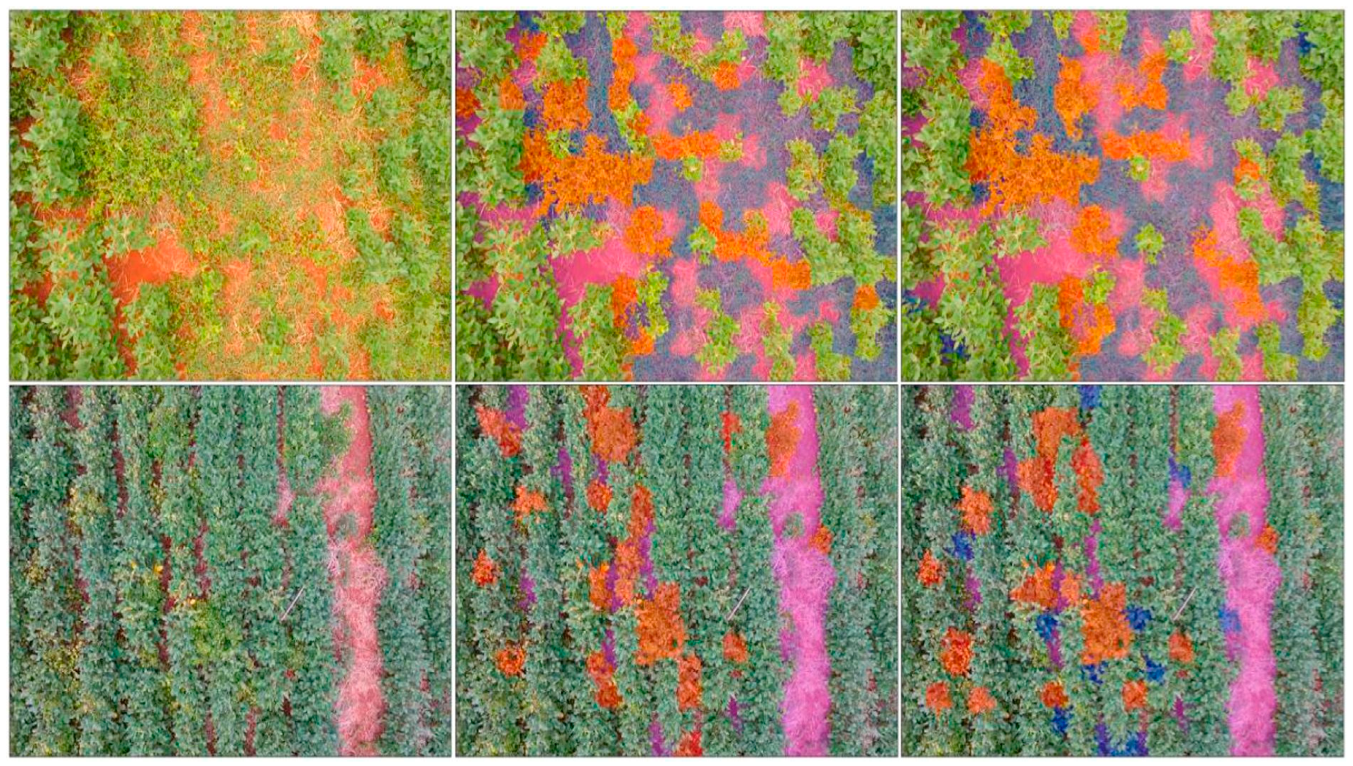 Agriengineering 08 00030 g005 Agriengineering 08 00030 g005