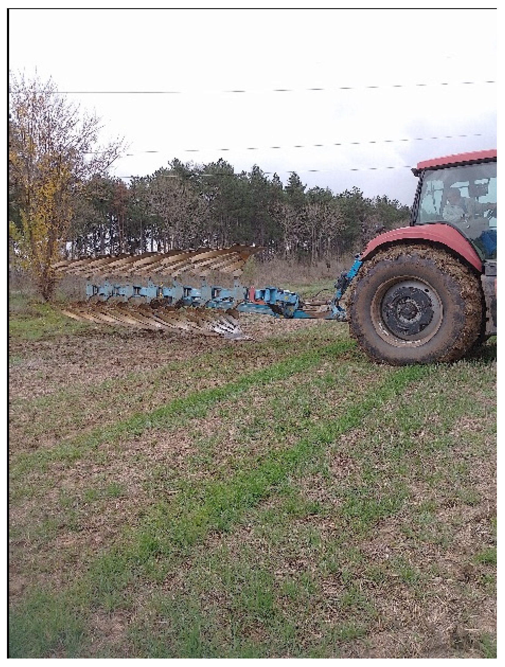Agriengineering 08 00181 g002