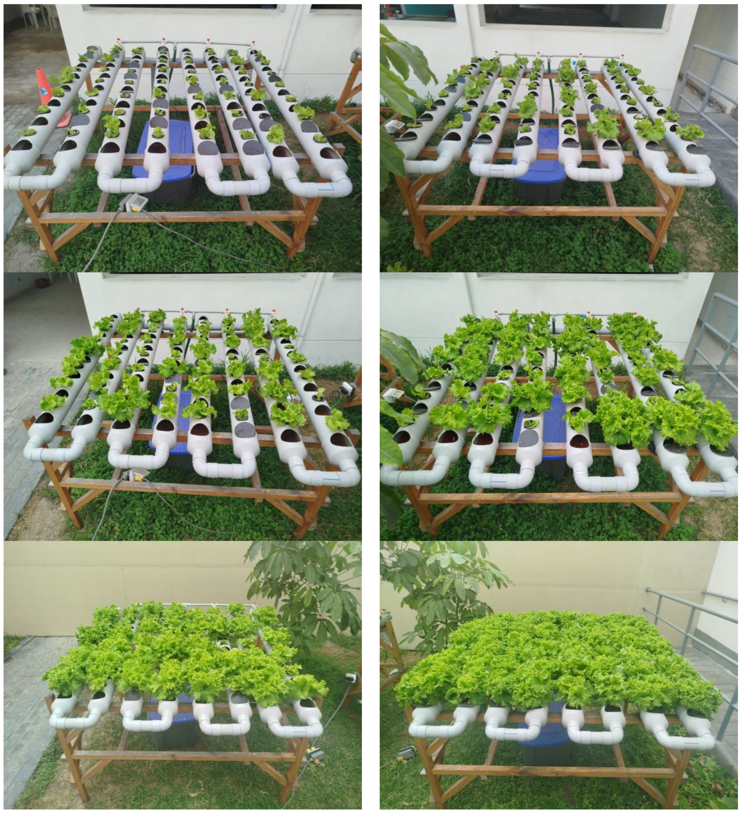 Agriengineering 08 00205 g008