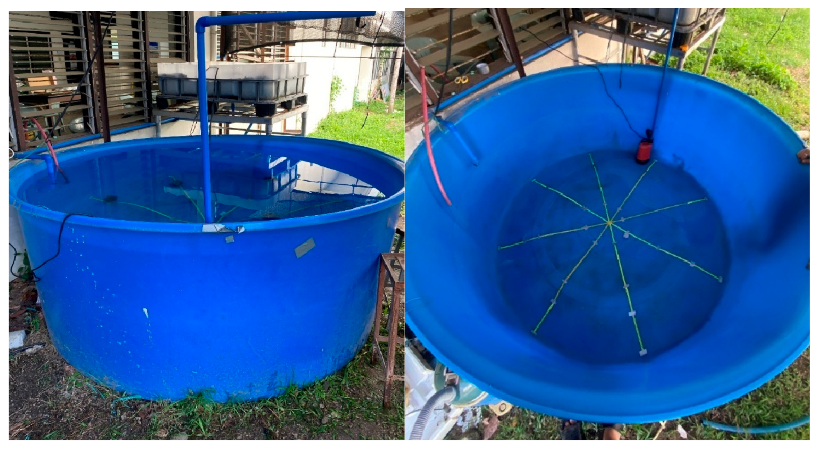 Agriengineering 08 00210 g005