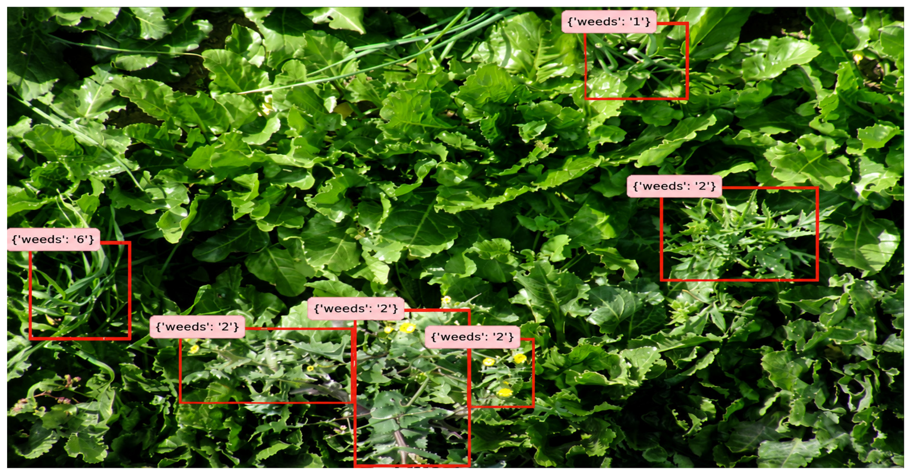 Agriengineering 08 00260 g009