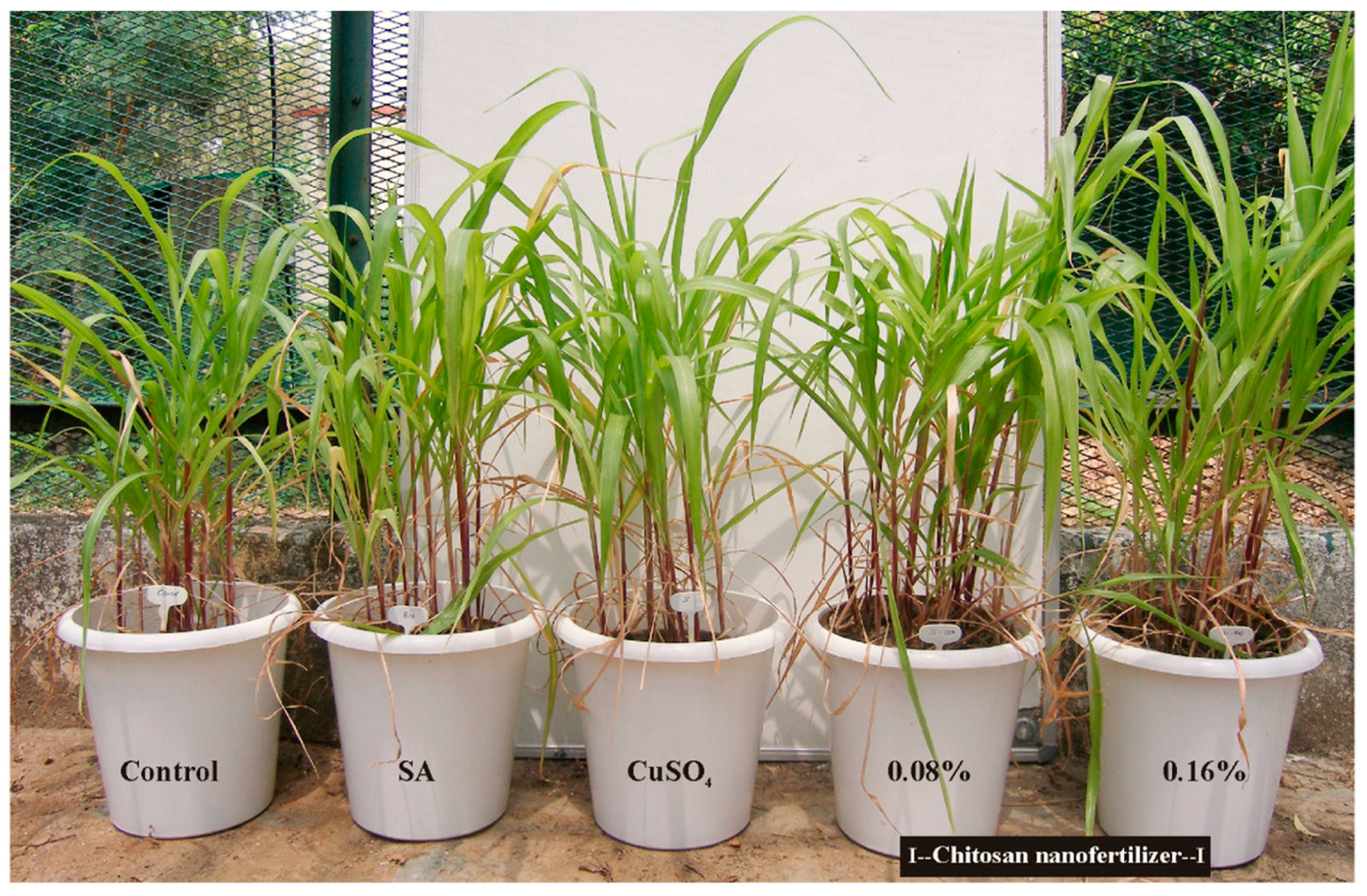 Agrochemicals 02 00009 g004 Agrochemicals 02 00009 g004