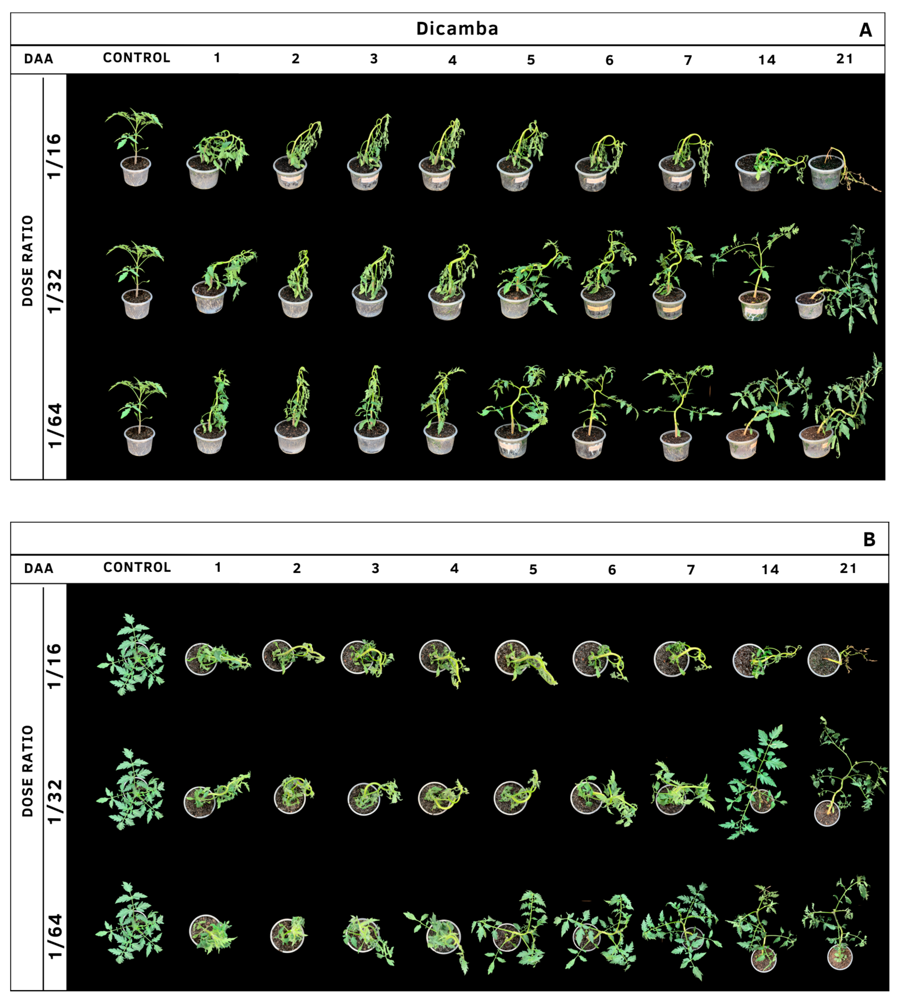 Agrochemicals 02 00011 g003 Agrochemicals 02 00011 g003
