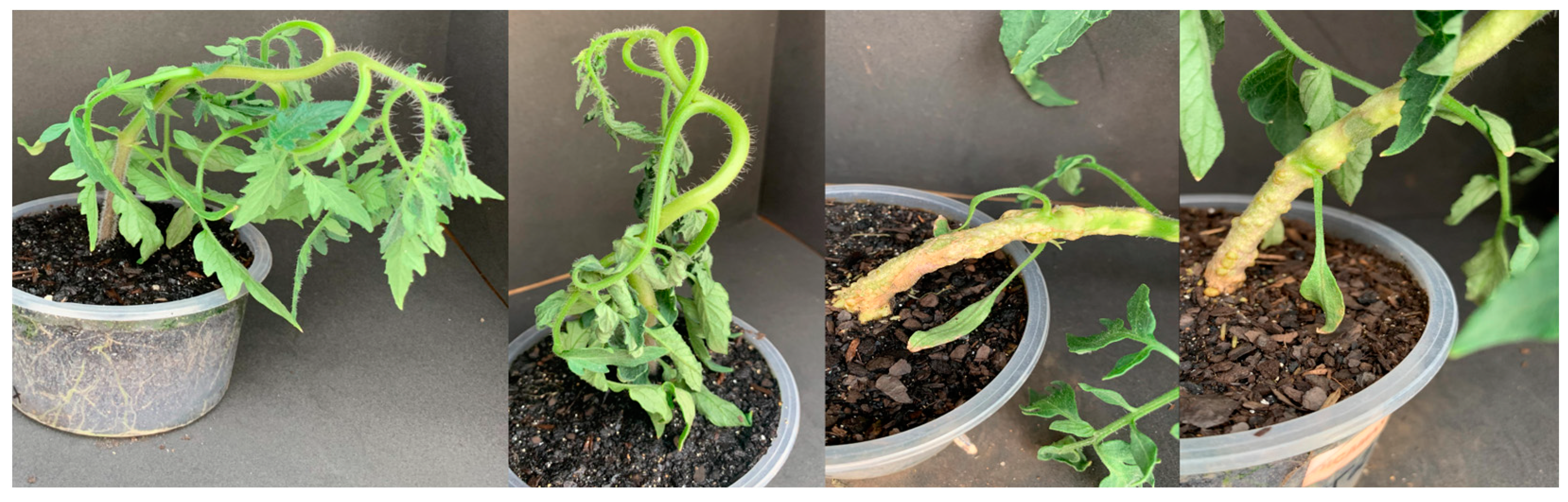 Agrochemicals 02 00011 g004 Agrochemicals 02 00011 g004