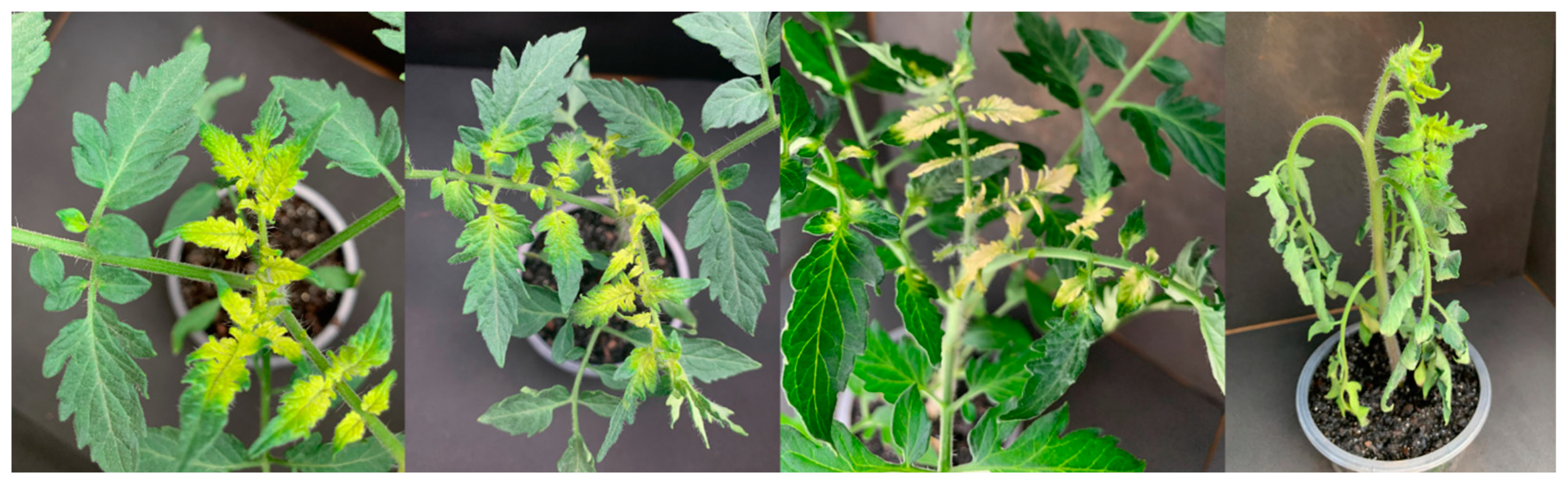 Agrochemicals 02 00011 g006 Agrochemicals 02 00011 g006