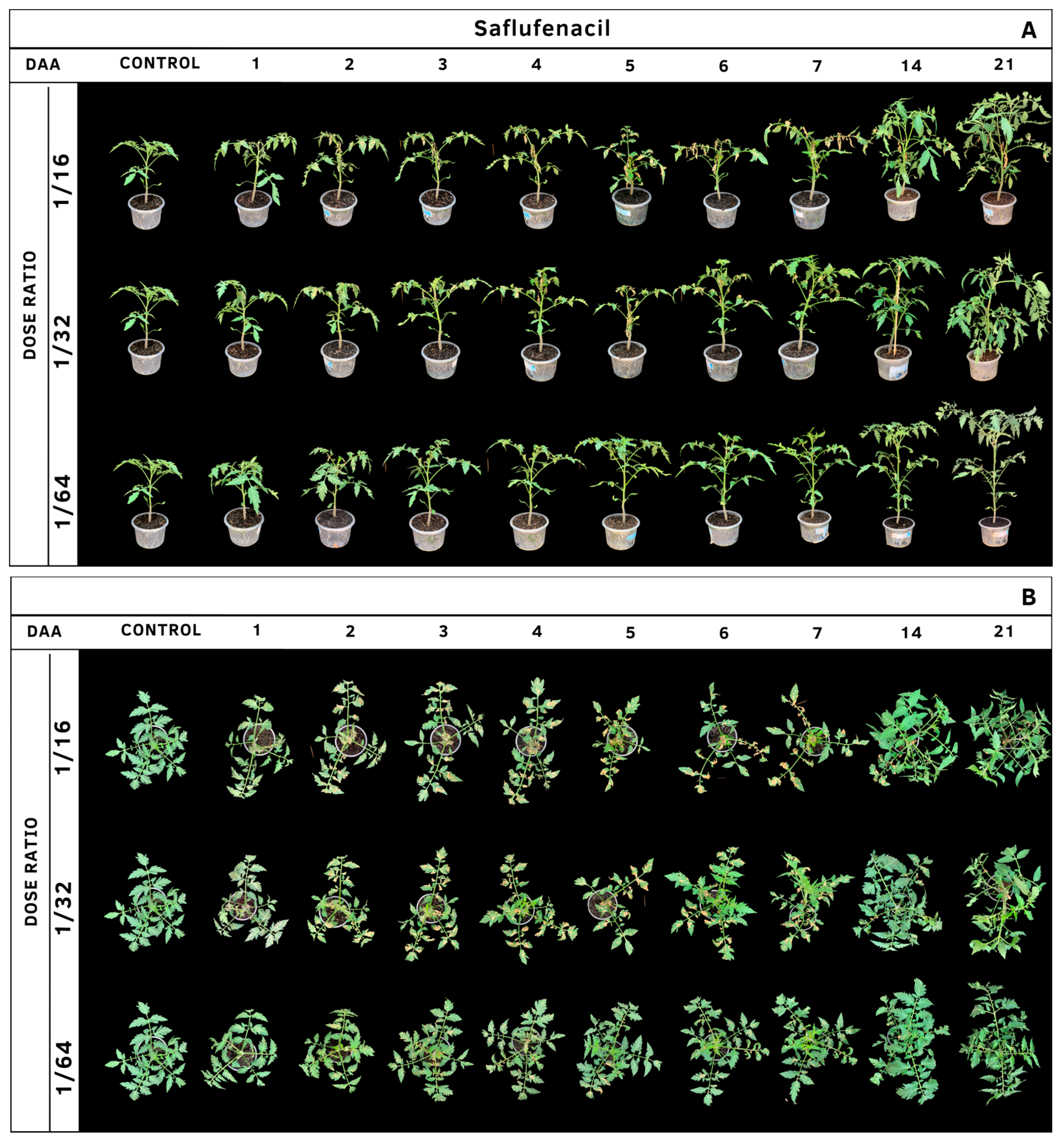 Agrochemicals 02 00011 g007 Agrochemicals 02 00011 g007
