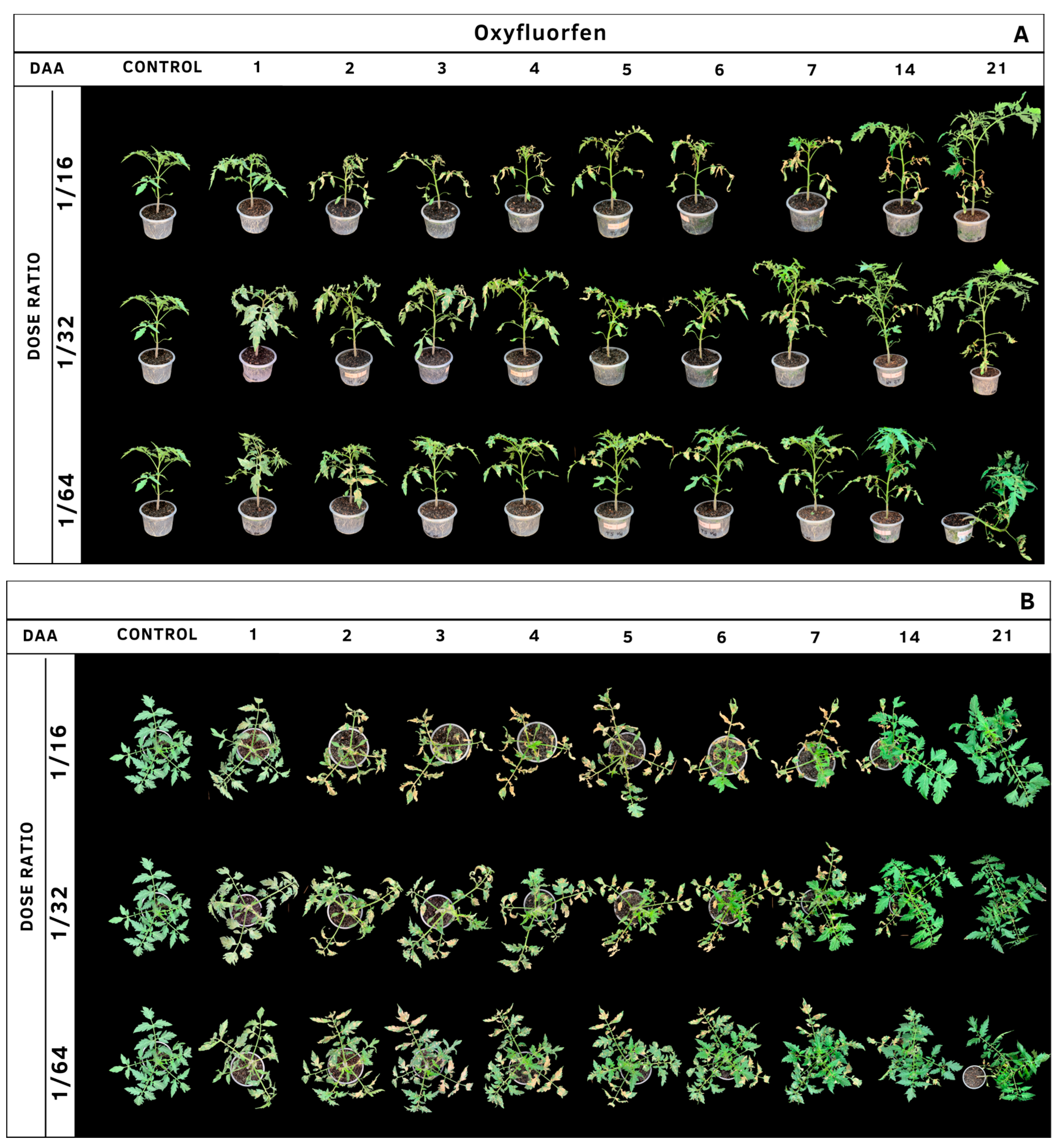 Agrochemicals 02 00011 g009 Agrochemicals 02 00011 g009