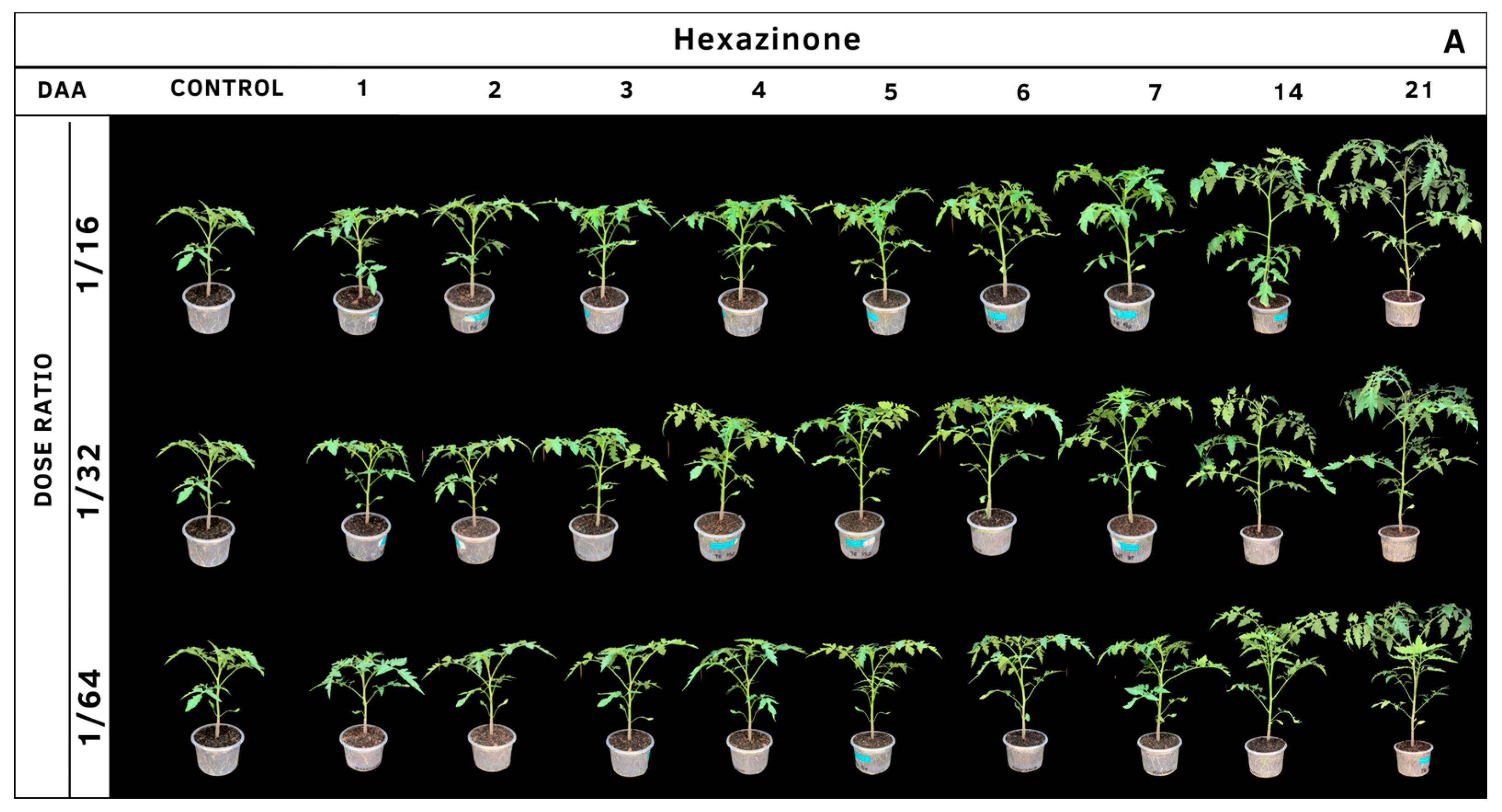 Agrochemicals 02 00011 g011a Agrochemicals 02 00011 g011a
