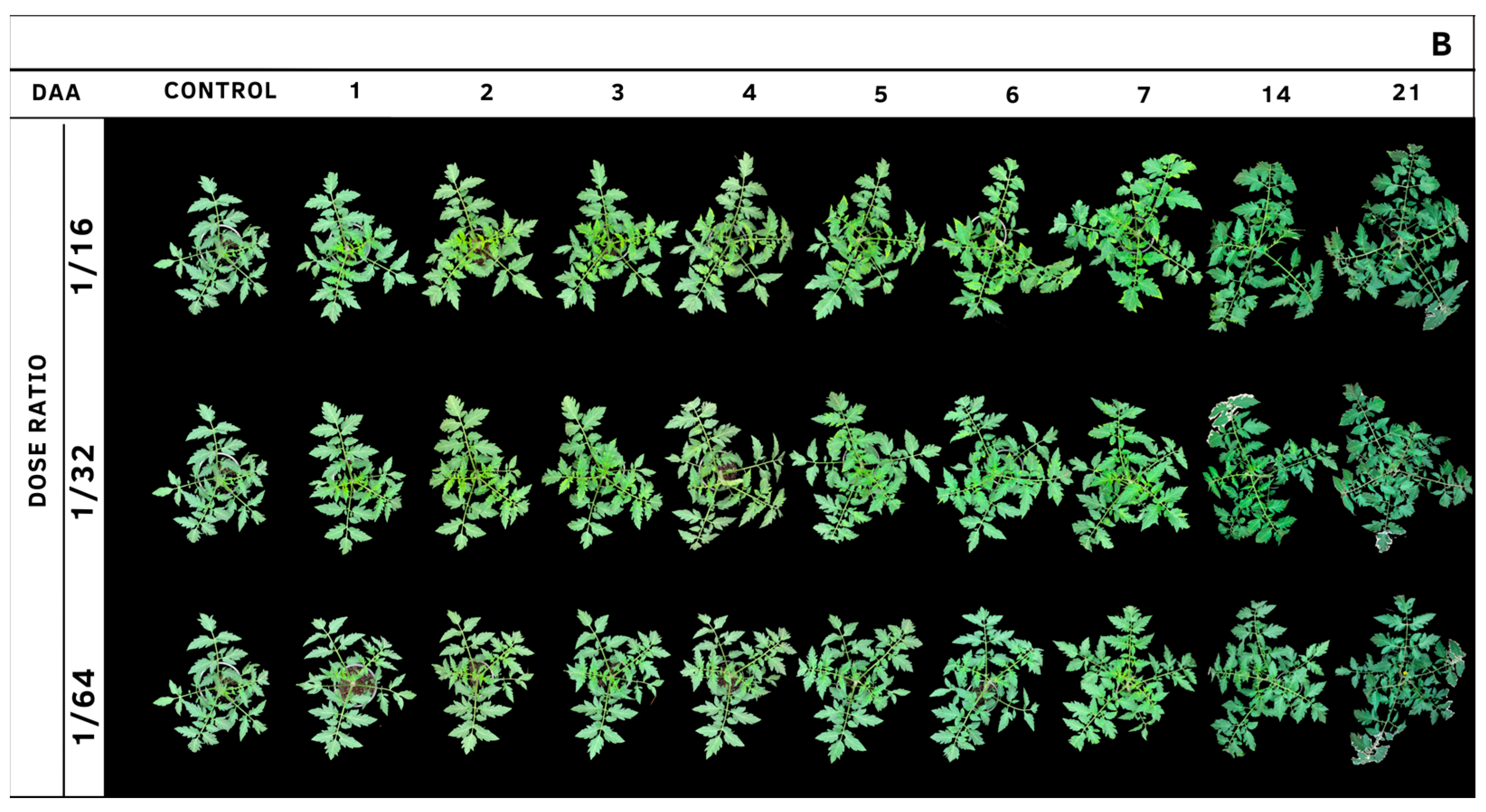 Agrochemicals 02 00011 g011b Agrochemicals 02 00011 g011b