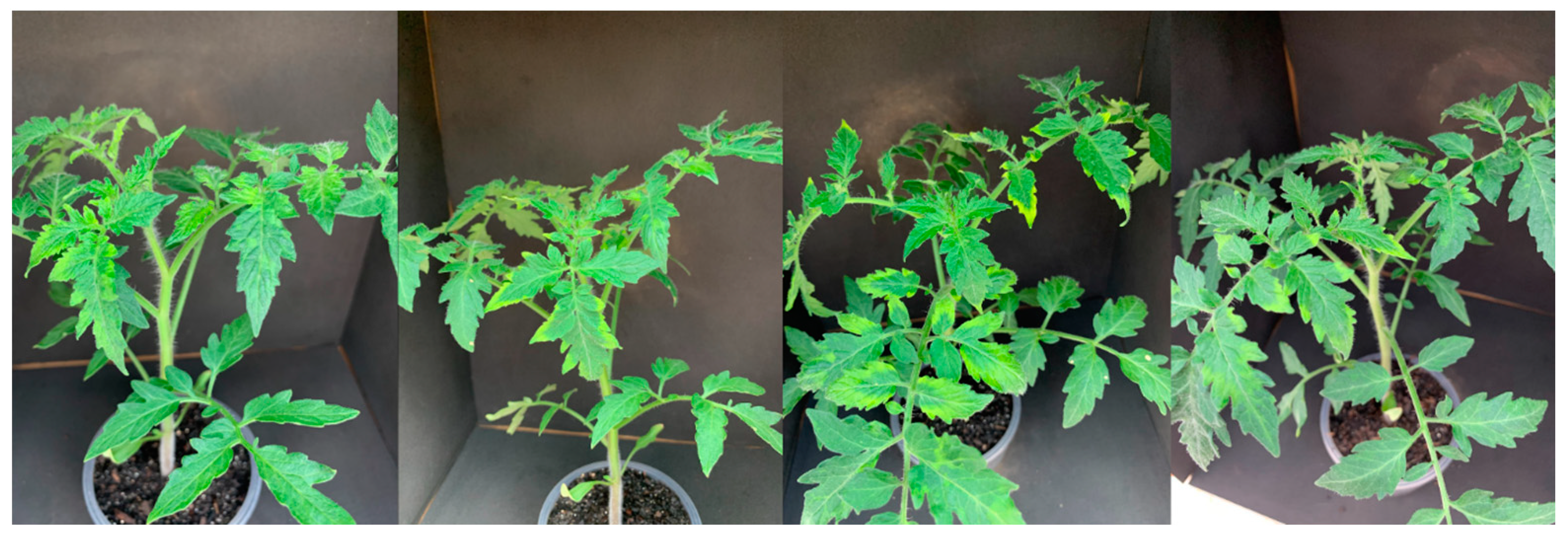 Agrochemicals 02 00011 g012 Agrochemicals 02 00011 g012