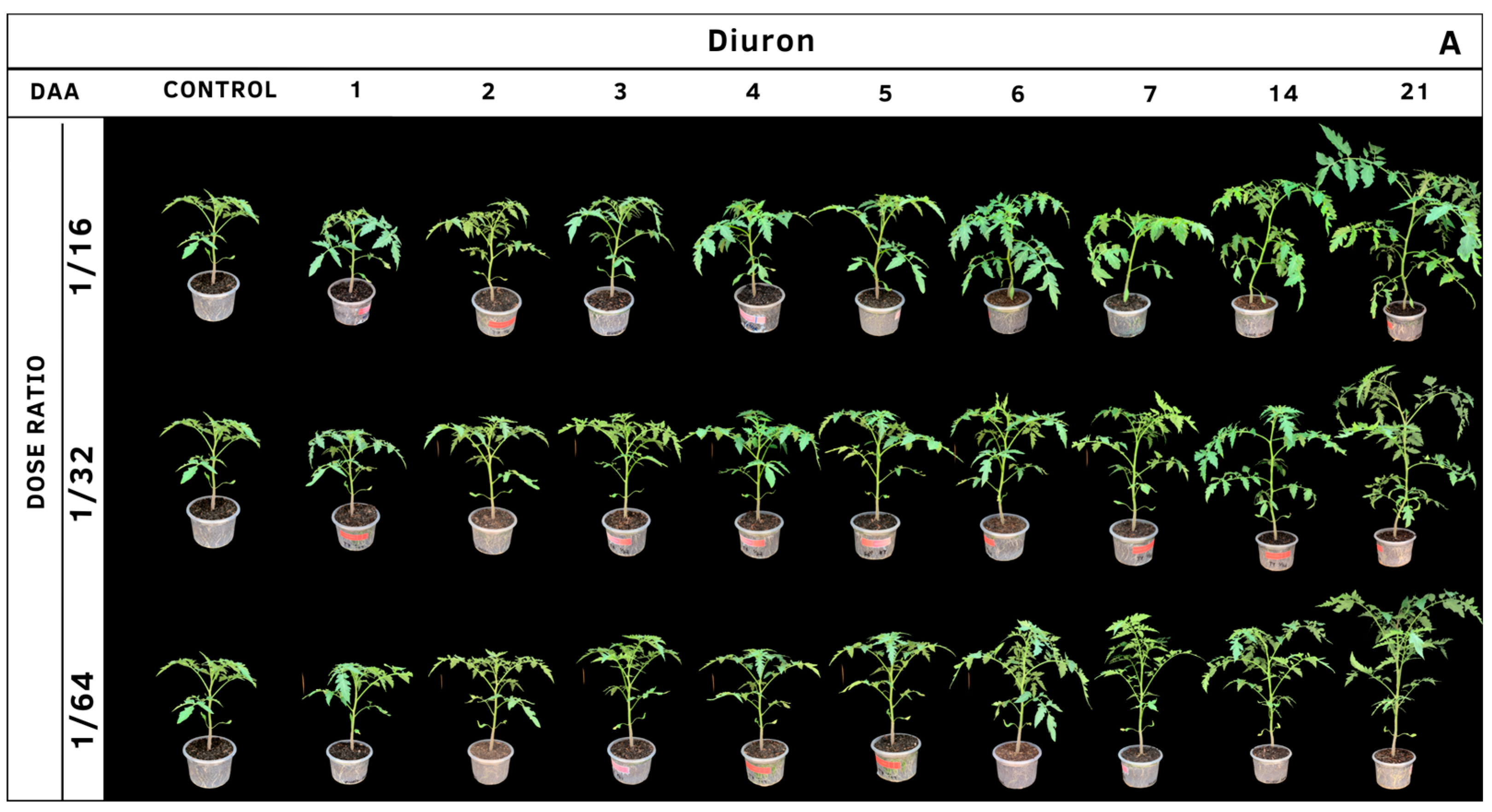Agrochemicals 02 00011 g013a Agrochemicals 02 00011 g013a