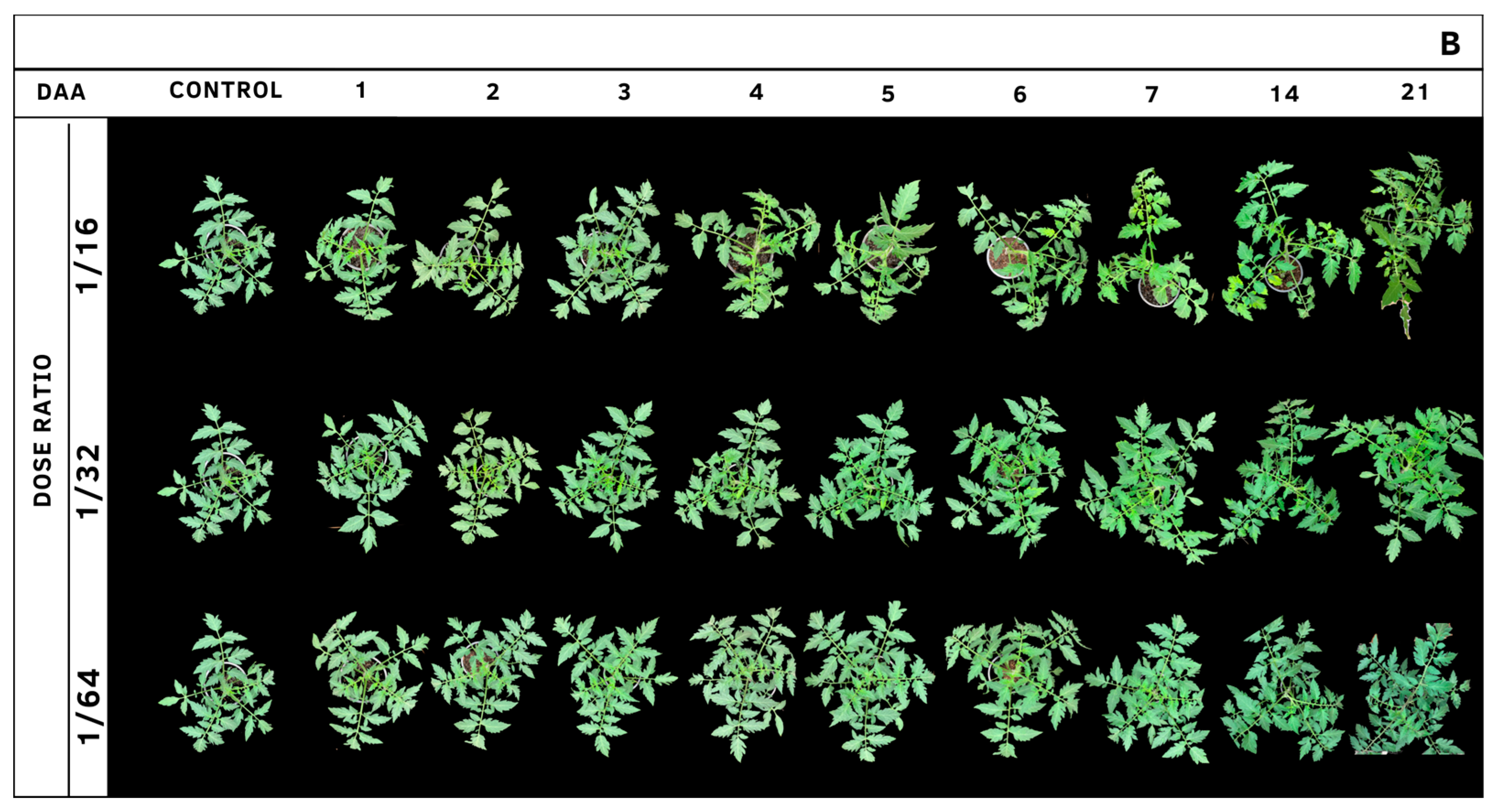 Agrochemicals 02 00011 g013b Agrochemicals 02 00011 g013b