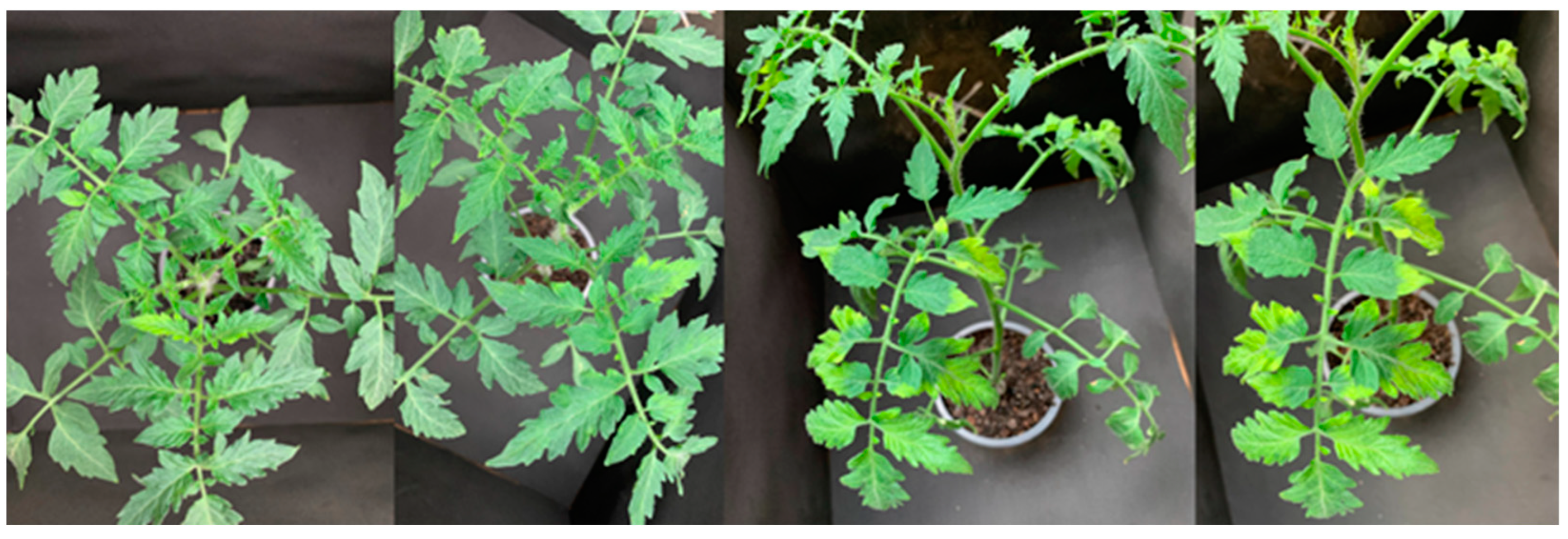 Agrochemicals 02 00011 g014 Agrochemicals 02 00011 g014