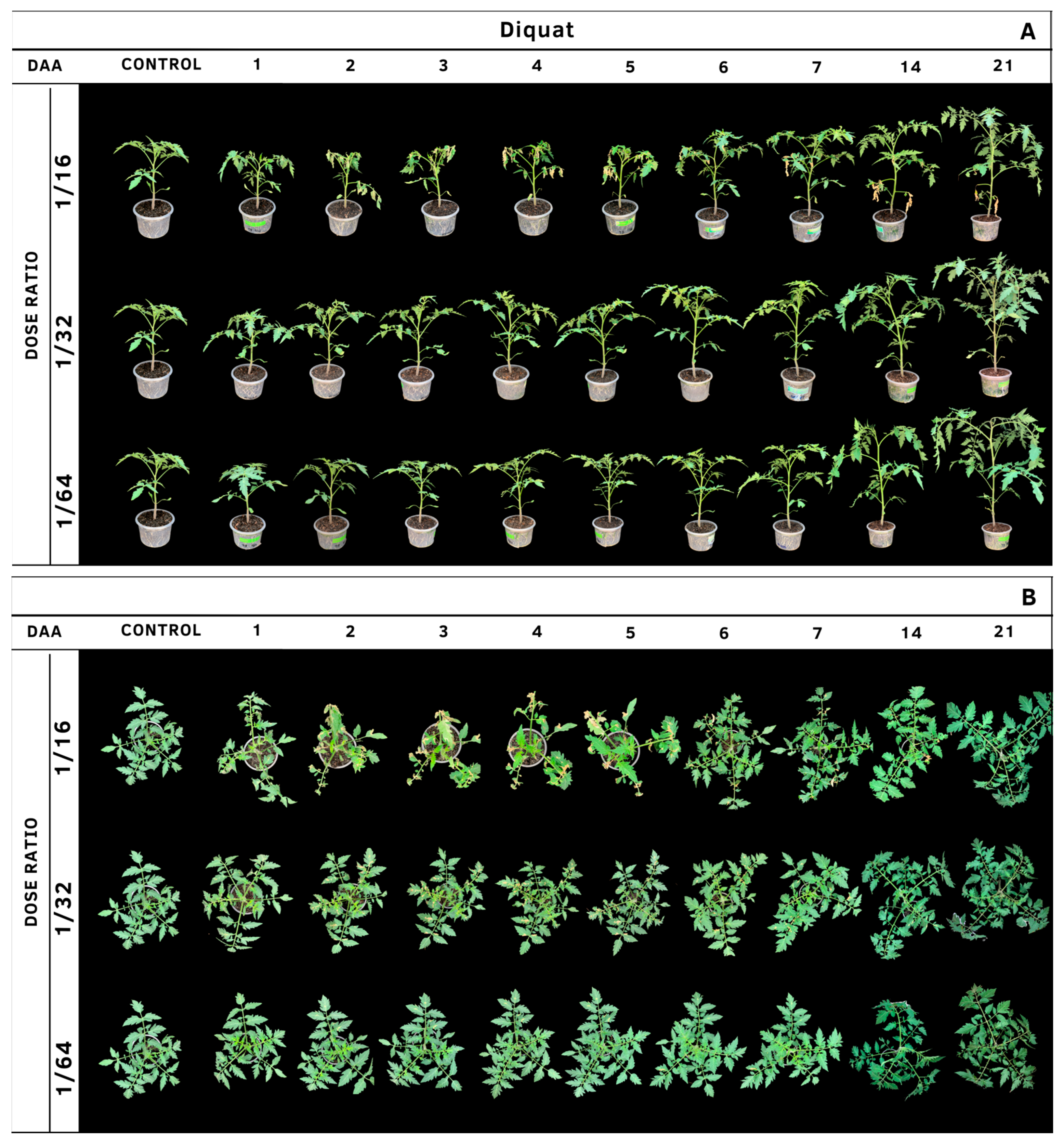 Agrochemicals 02 00011 g015 Agrochemicals 02 00011 g015