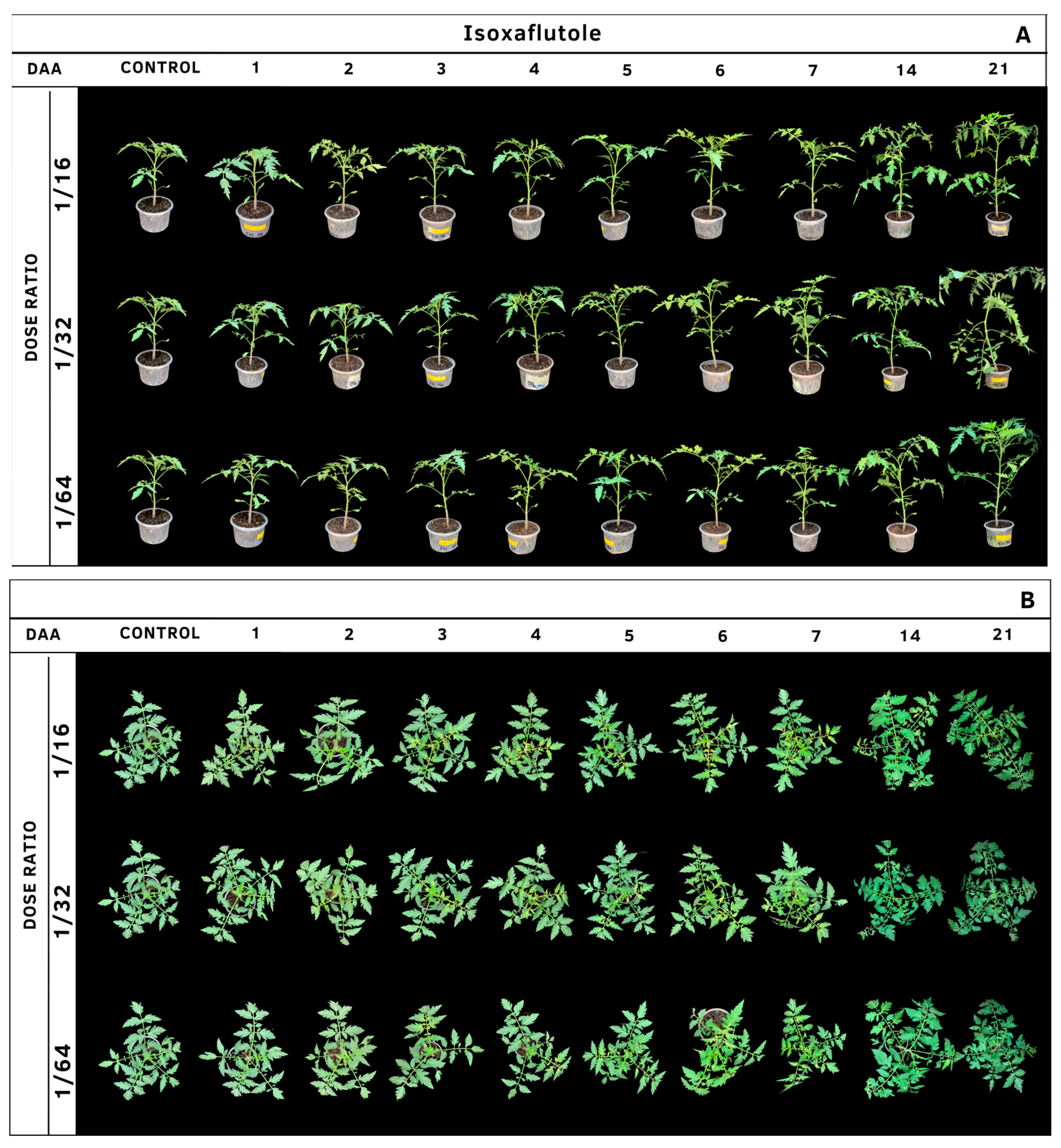 Agrochemicals 02 00011 g018 Agrochemicals 02 00011 g018