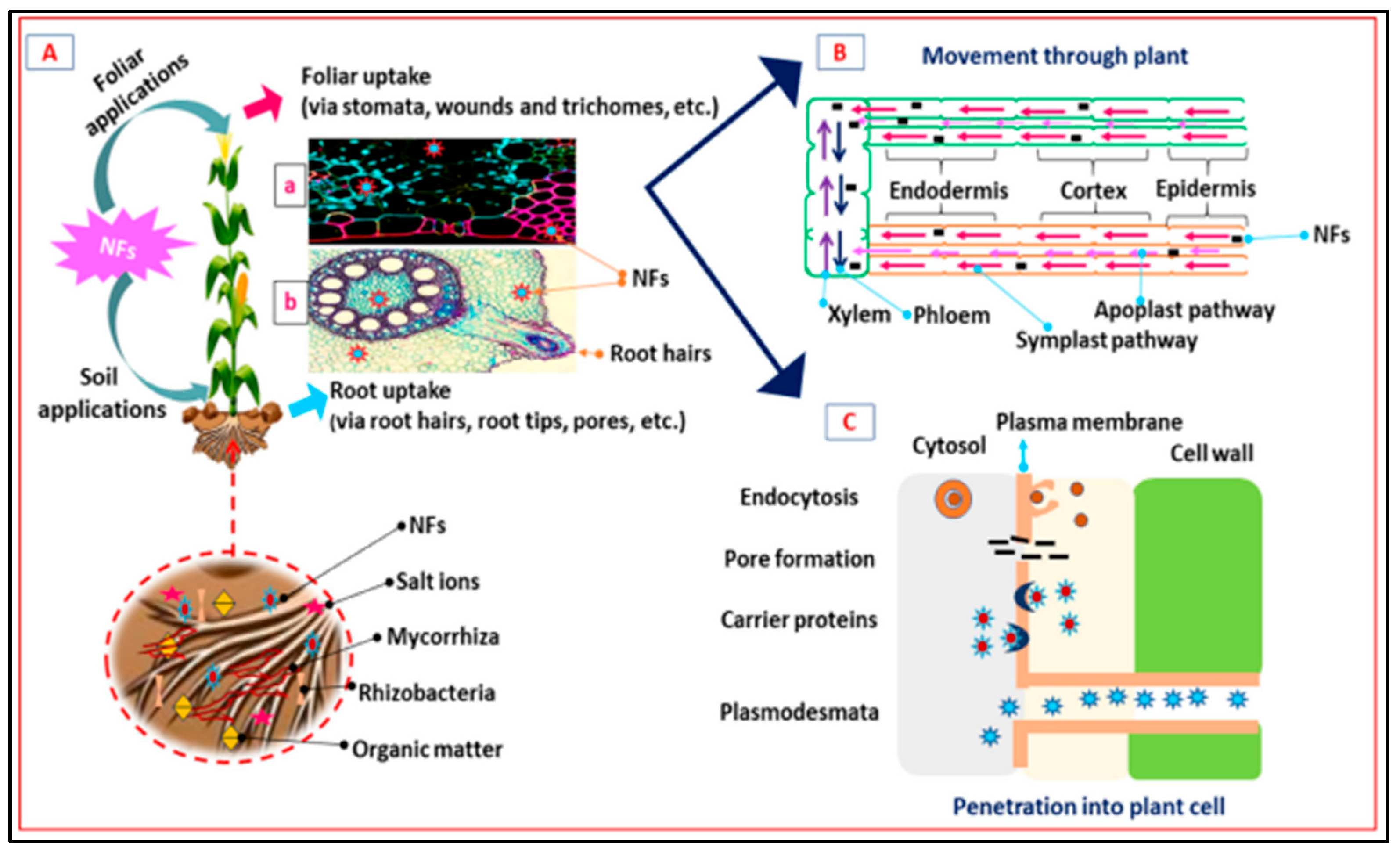 Agrochemicals 02 00017 g004