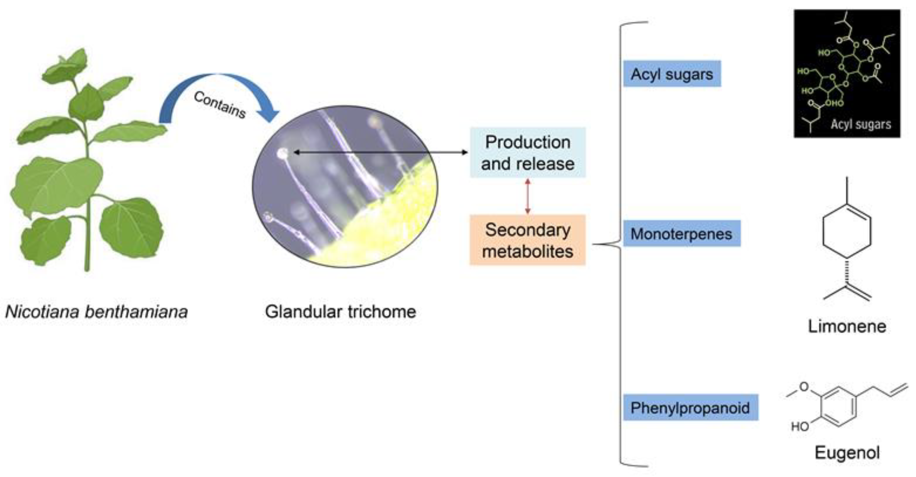 Agrochemicals 02 00034 g002