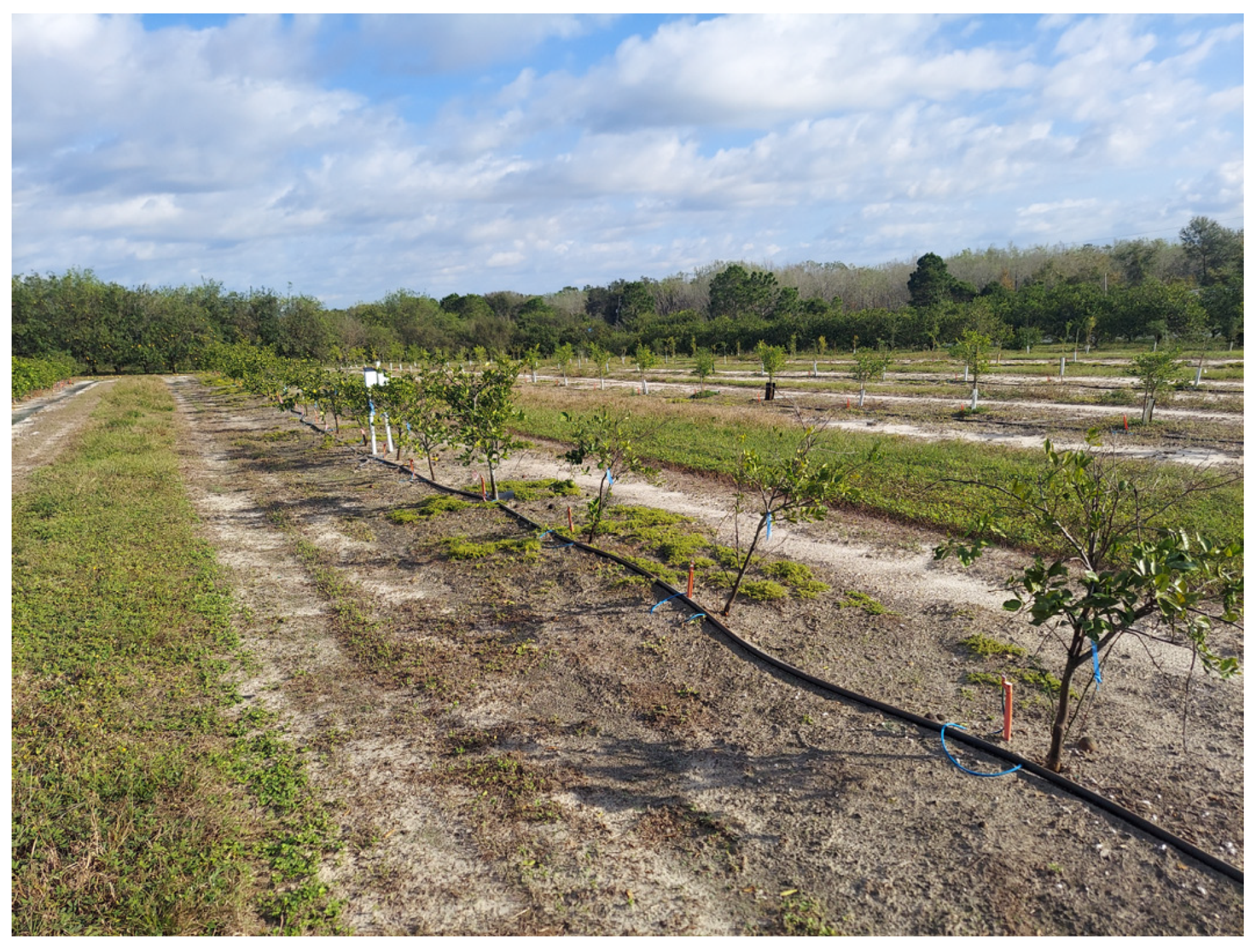 Agrochemicals 03 00008 g001