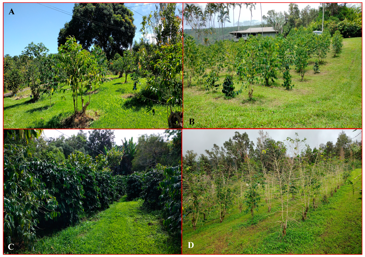 Agrochemicals 03 00011 g001