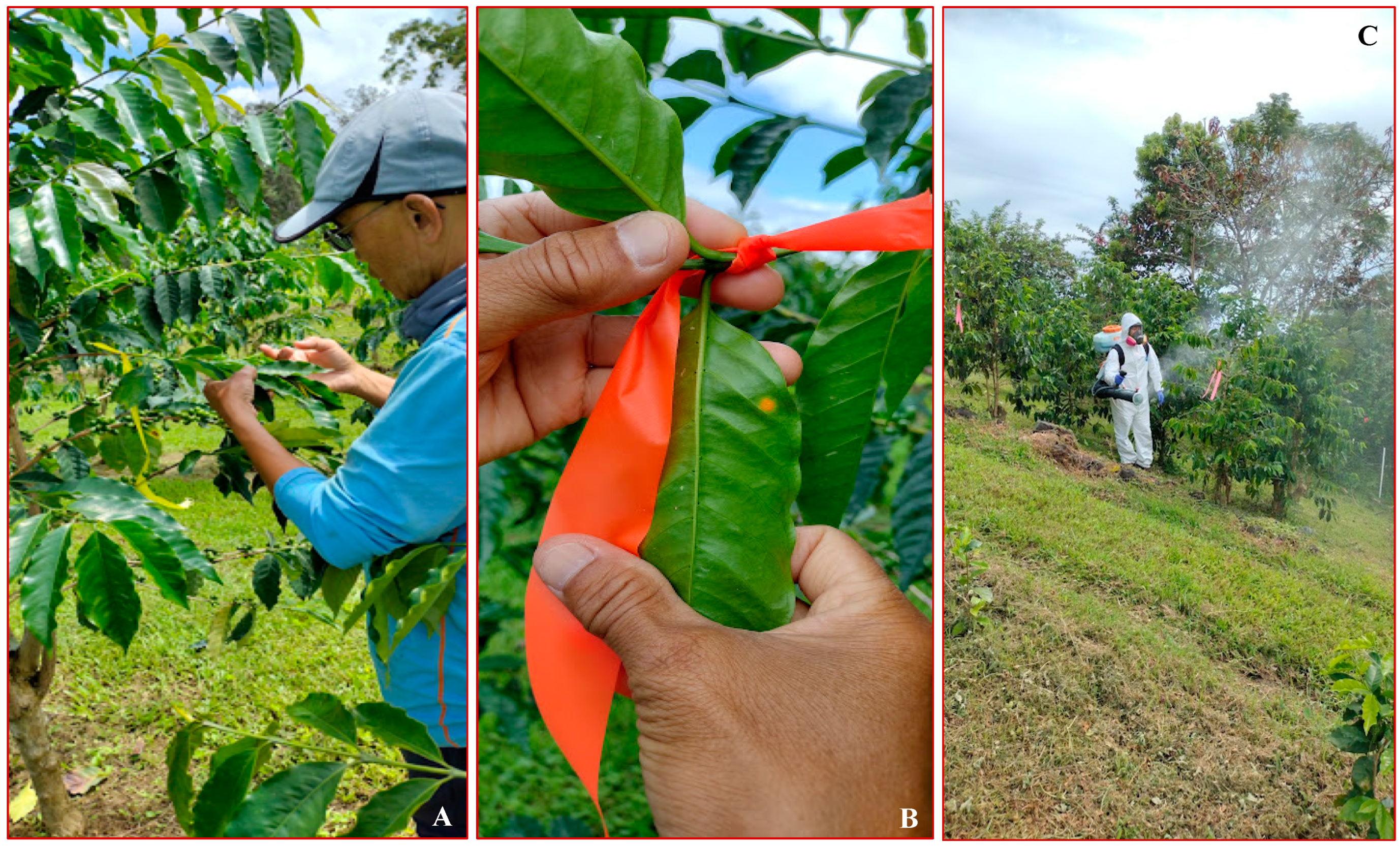 Agrochemicals 03 00011 g002