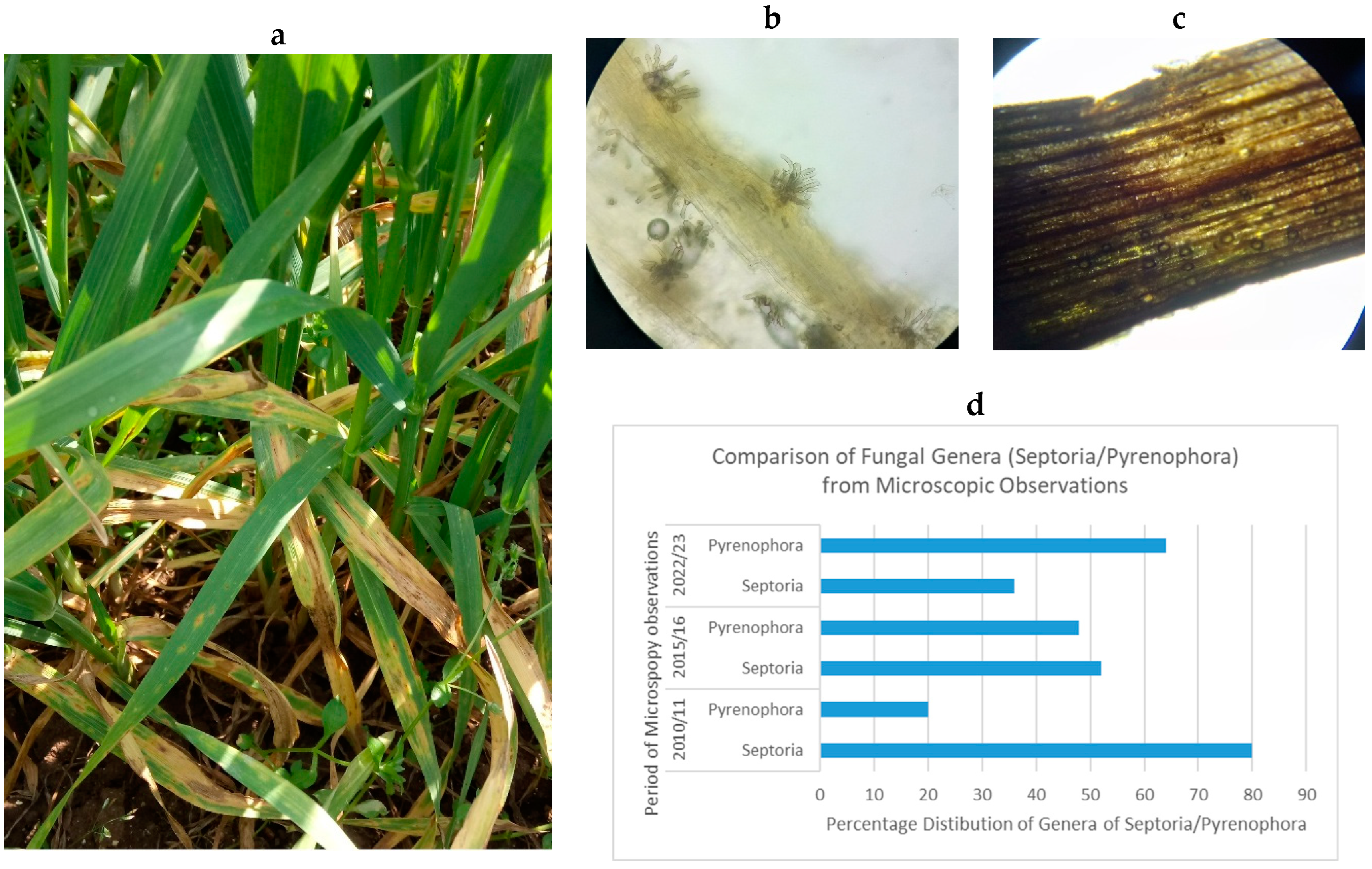Agrochemicals 04 00004 g002