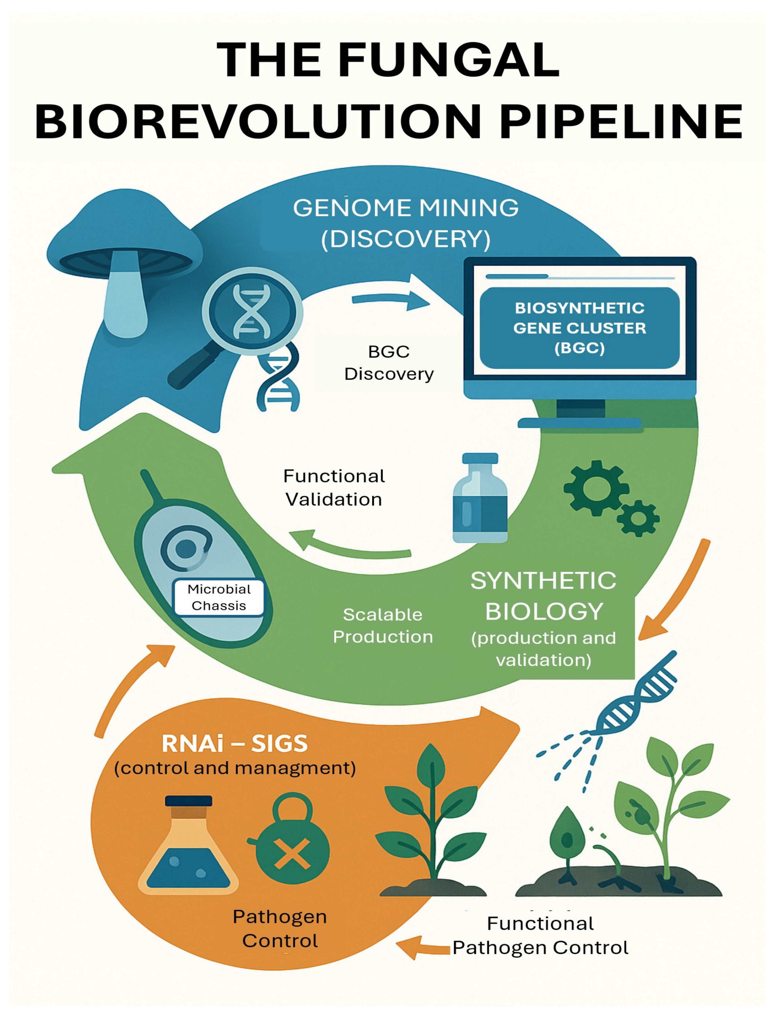 Agrochemicals 04 00018 g001