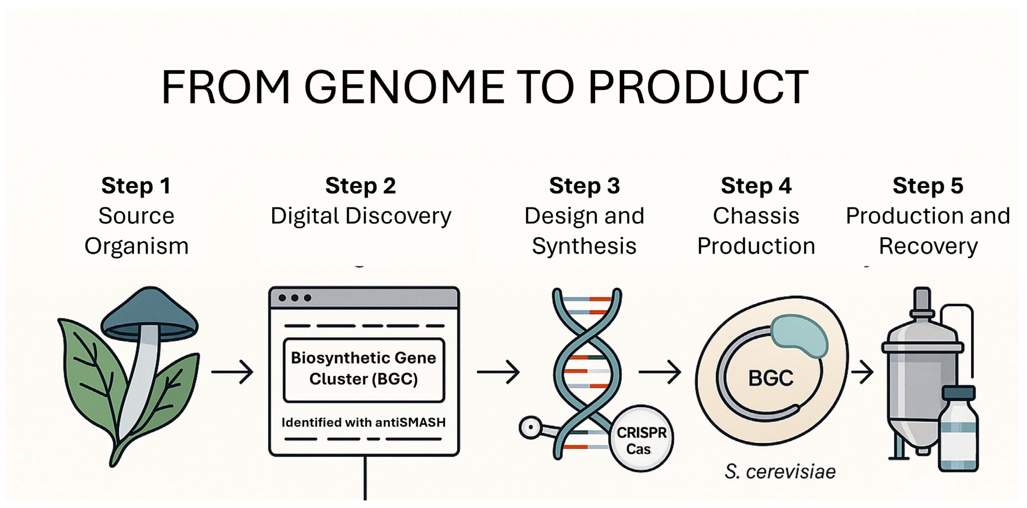 Agrochemicals 04 00018 g003