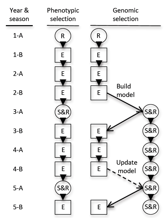 pdf физико химическая геотехнология учебн