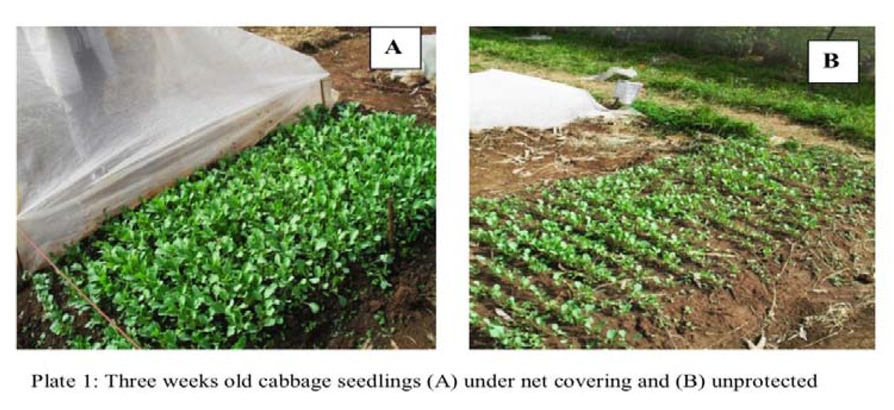 Agronomy 03 00001 g002